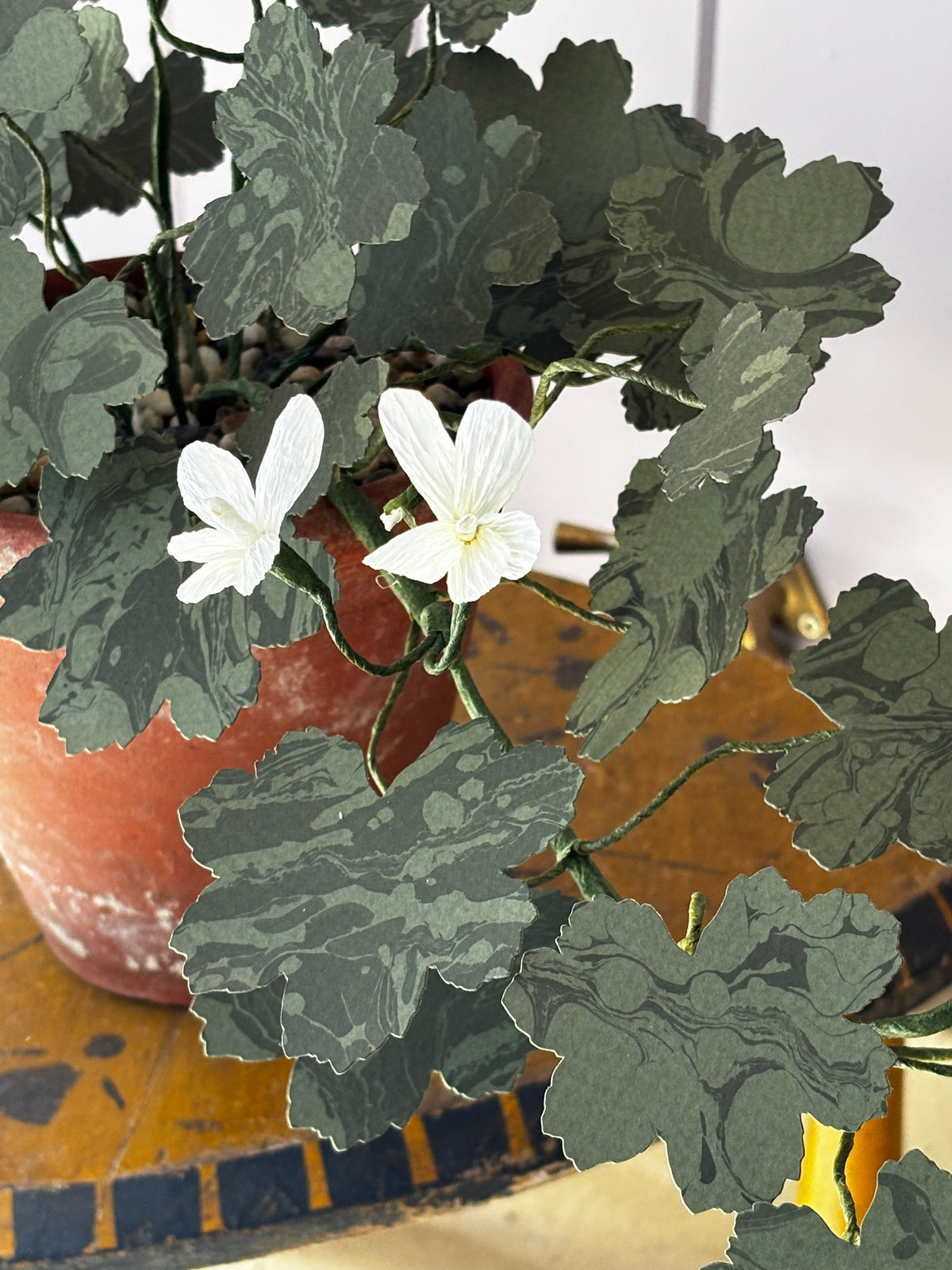 Paper geranium