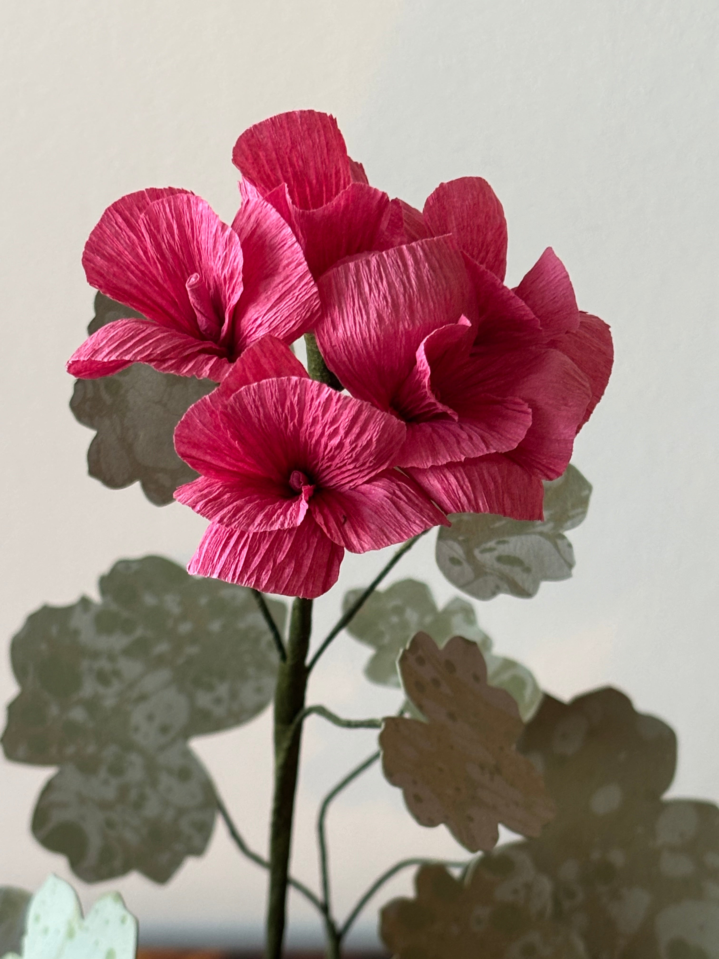 Paper Geranium