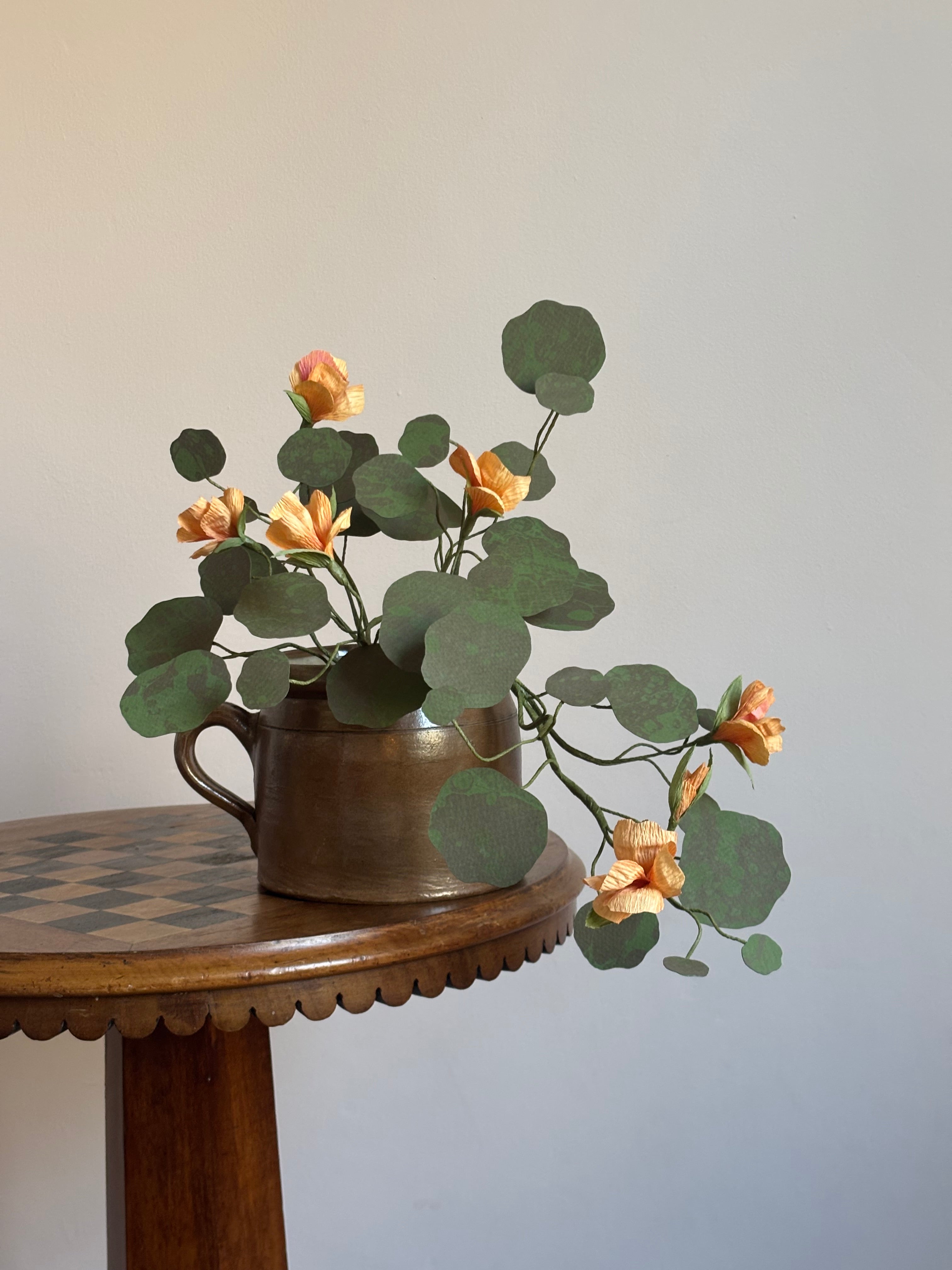 Nasturtium, trailing