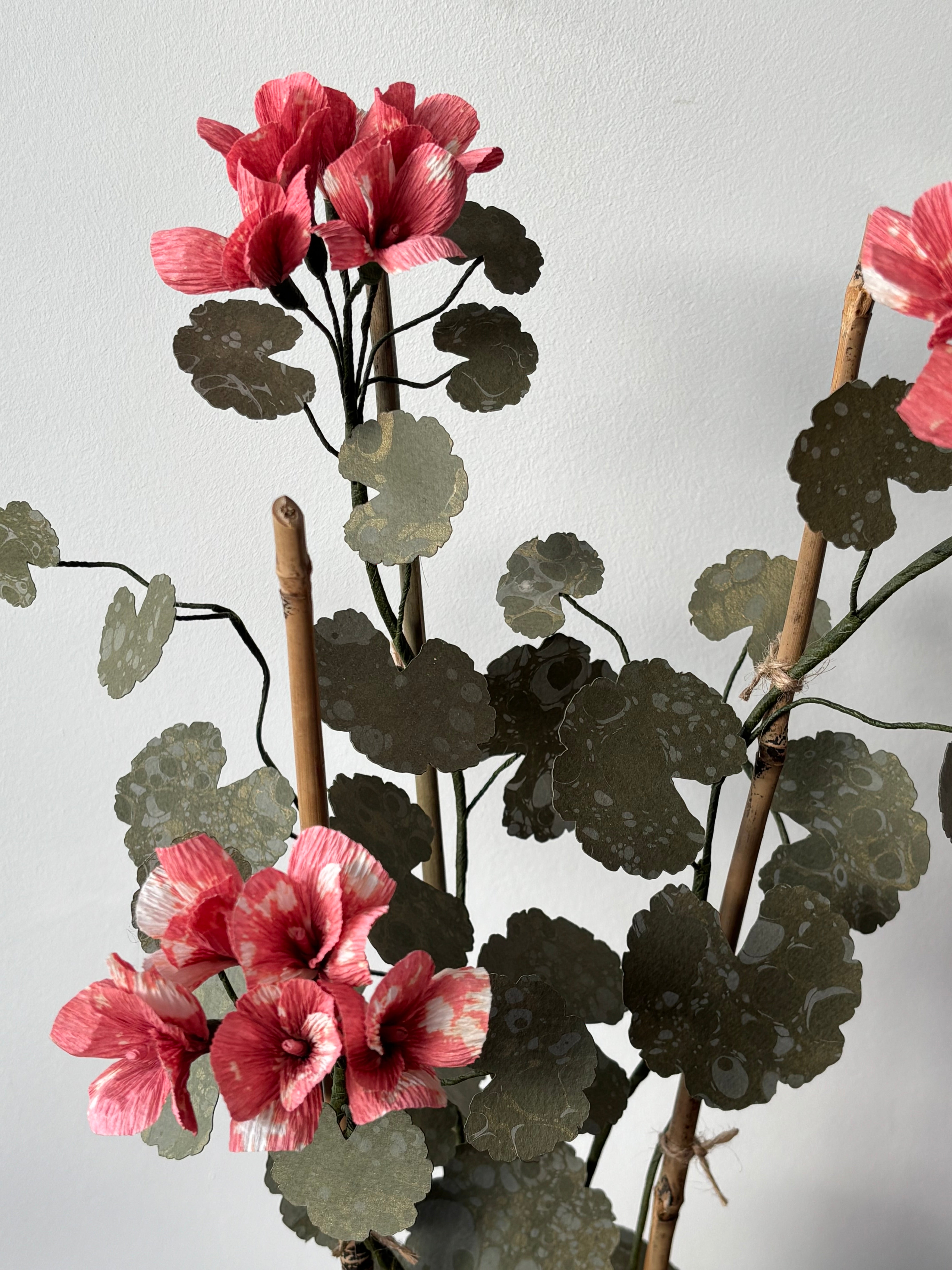 Paper Geranium