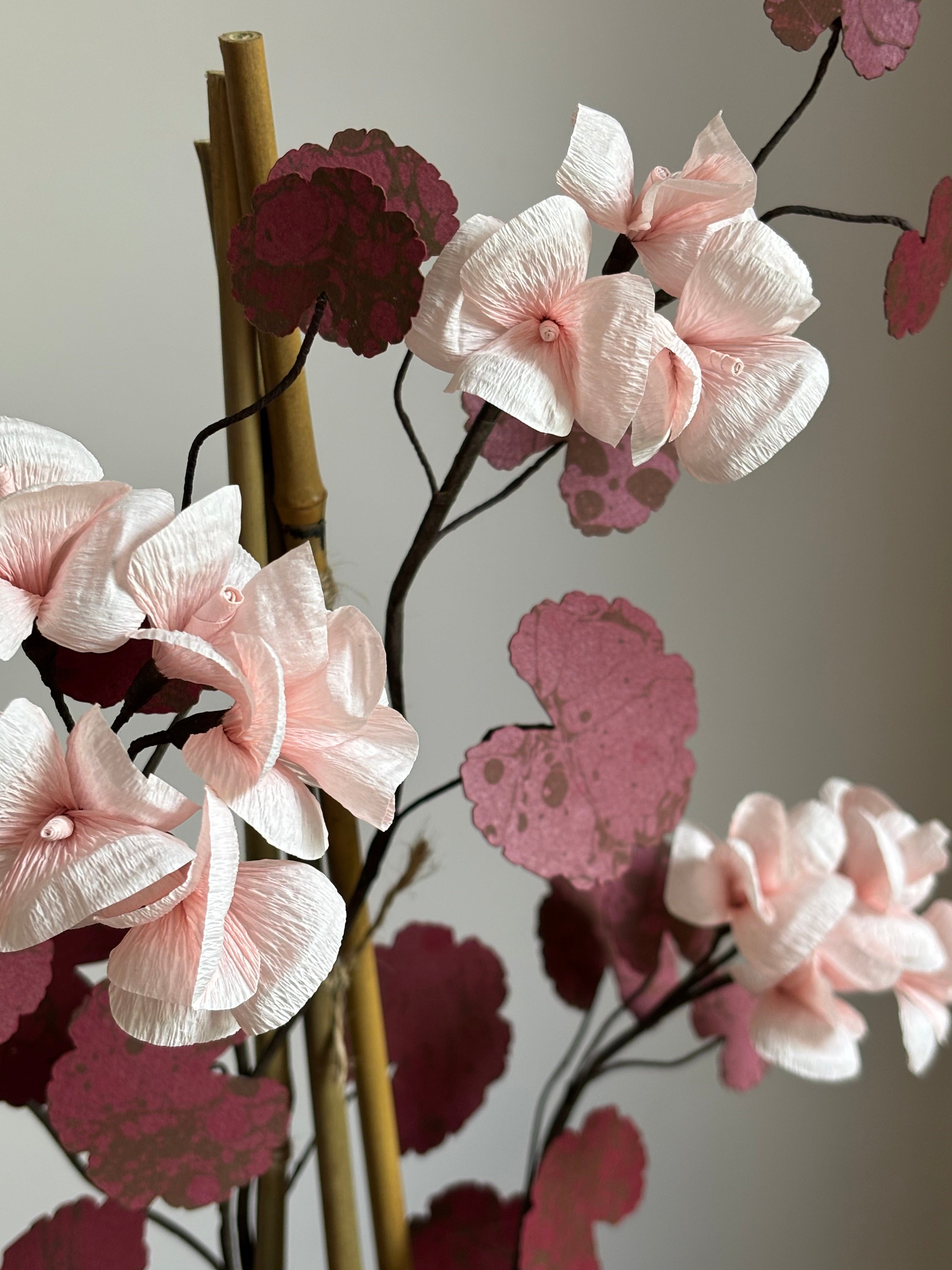 Paper Geranium