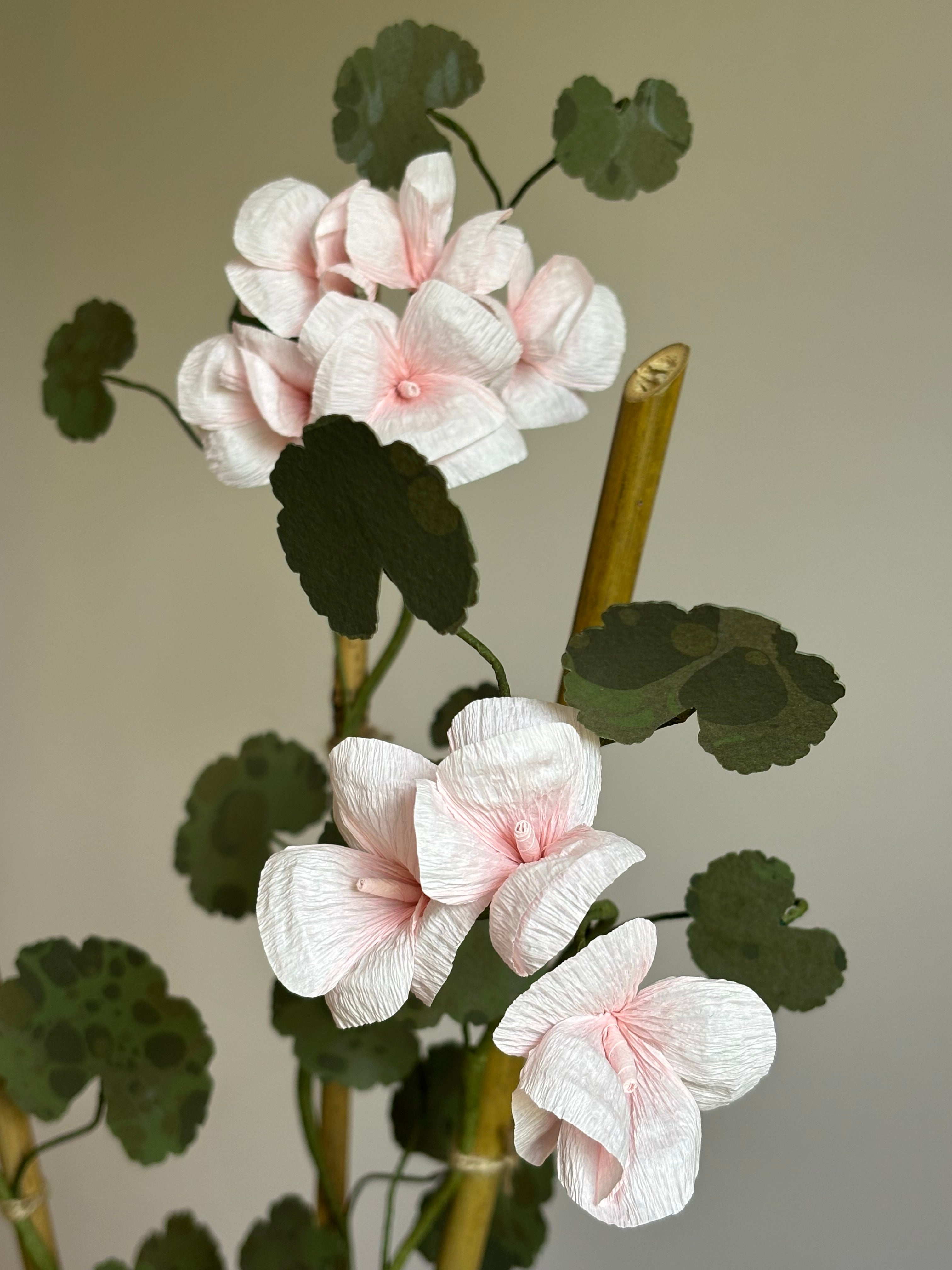Paper Geranium