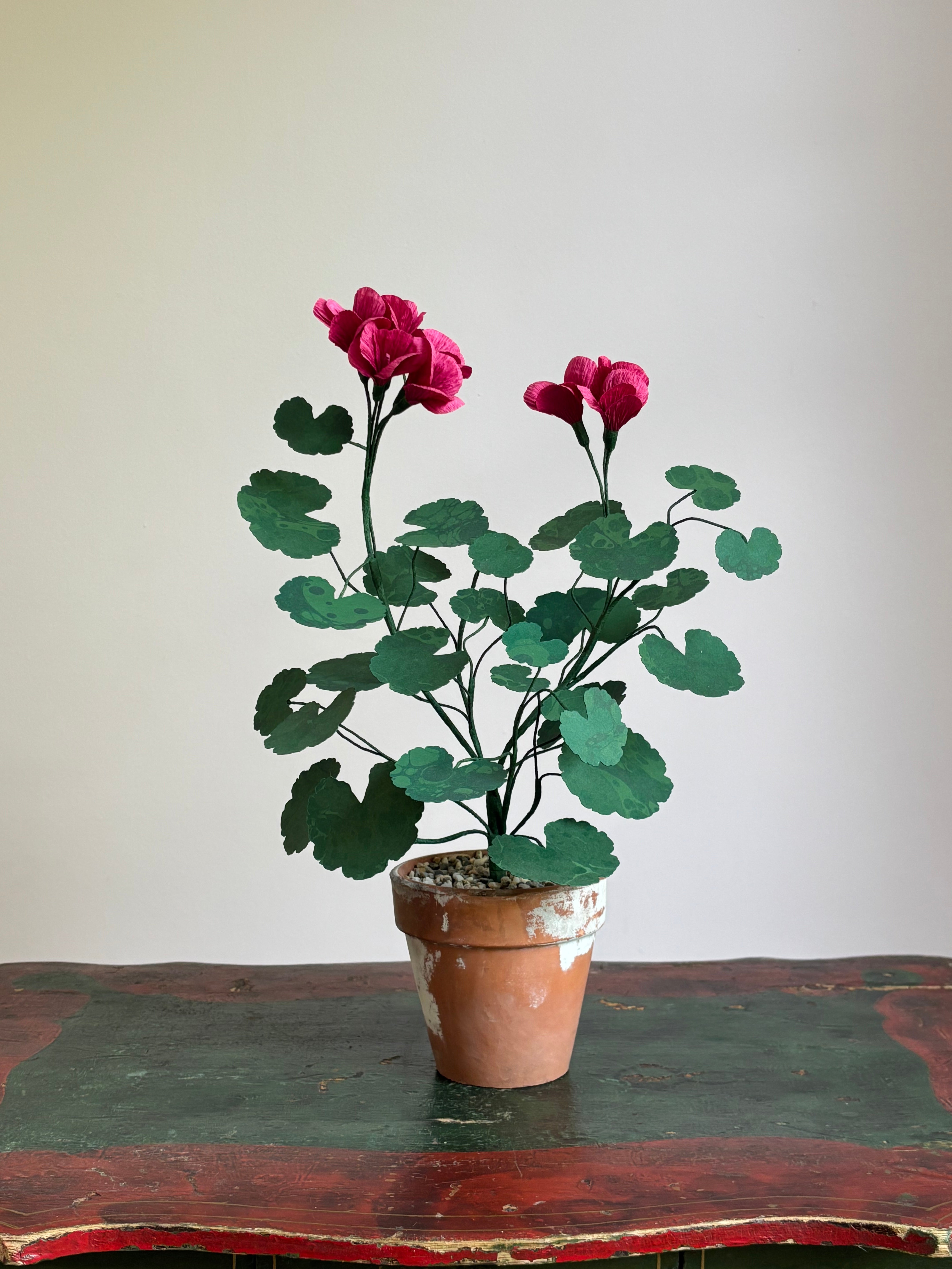 Paper Geranium