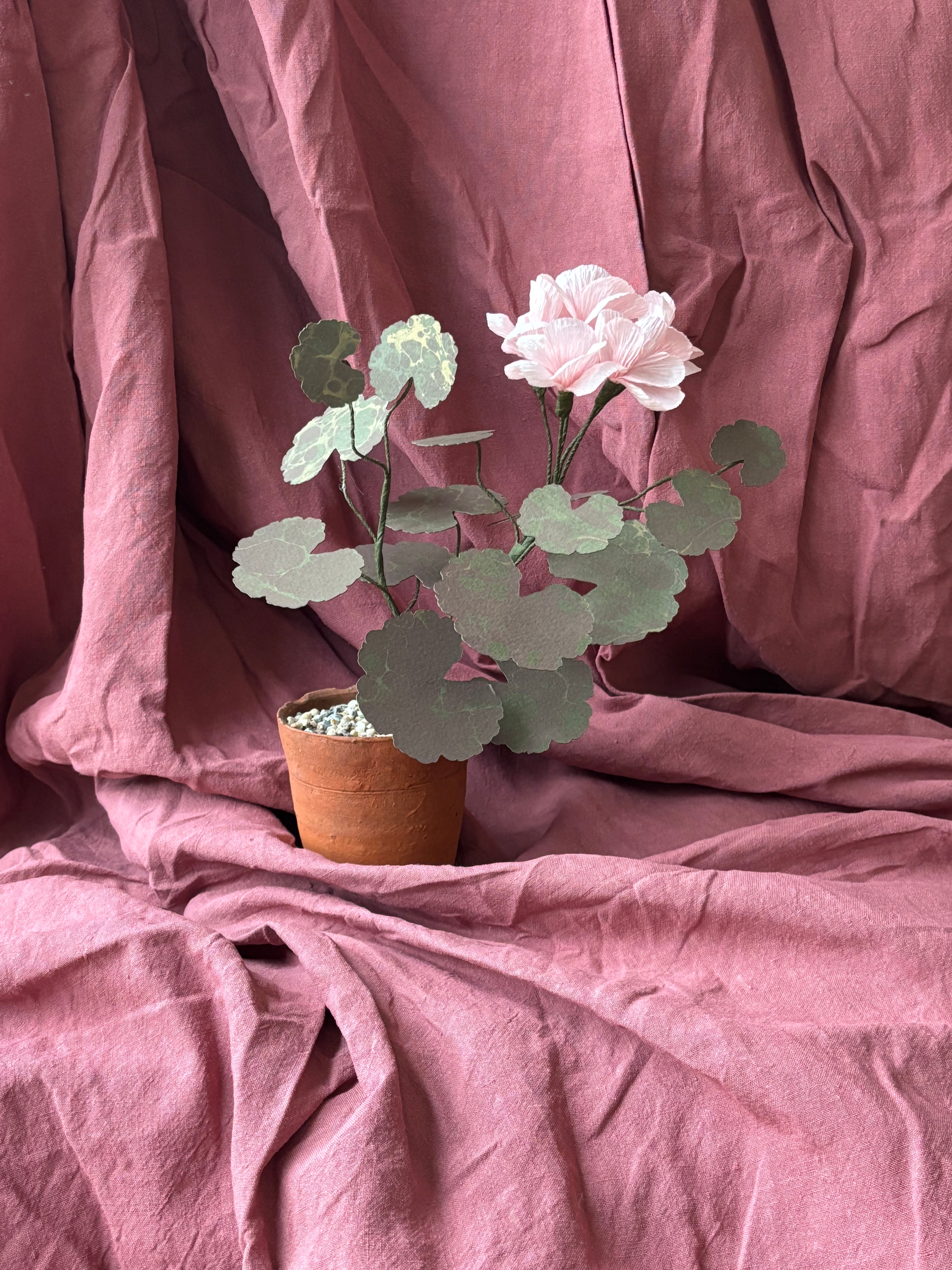 Paper Geranium