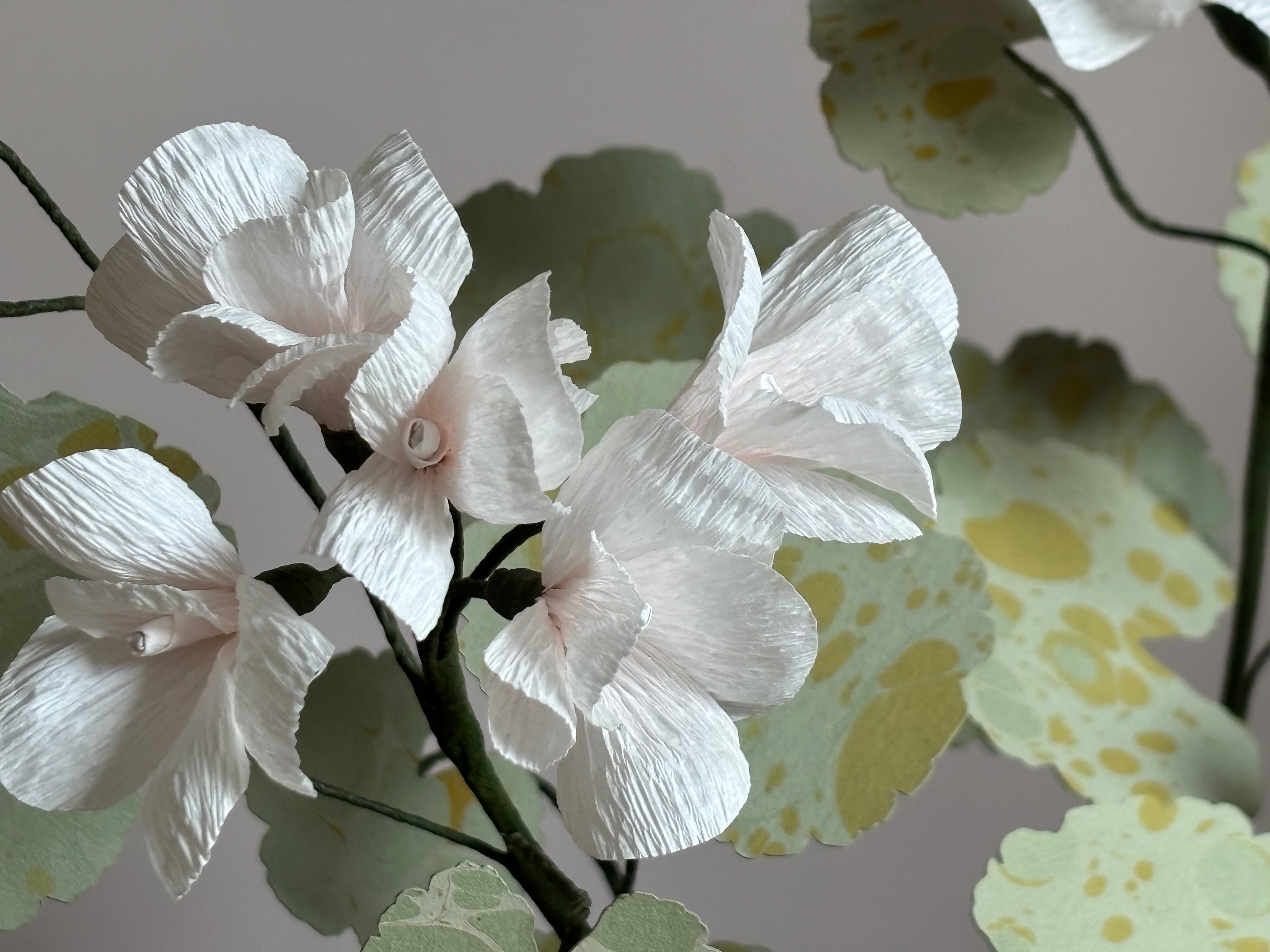 Paper Geranium