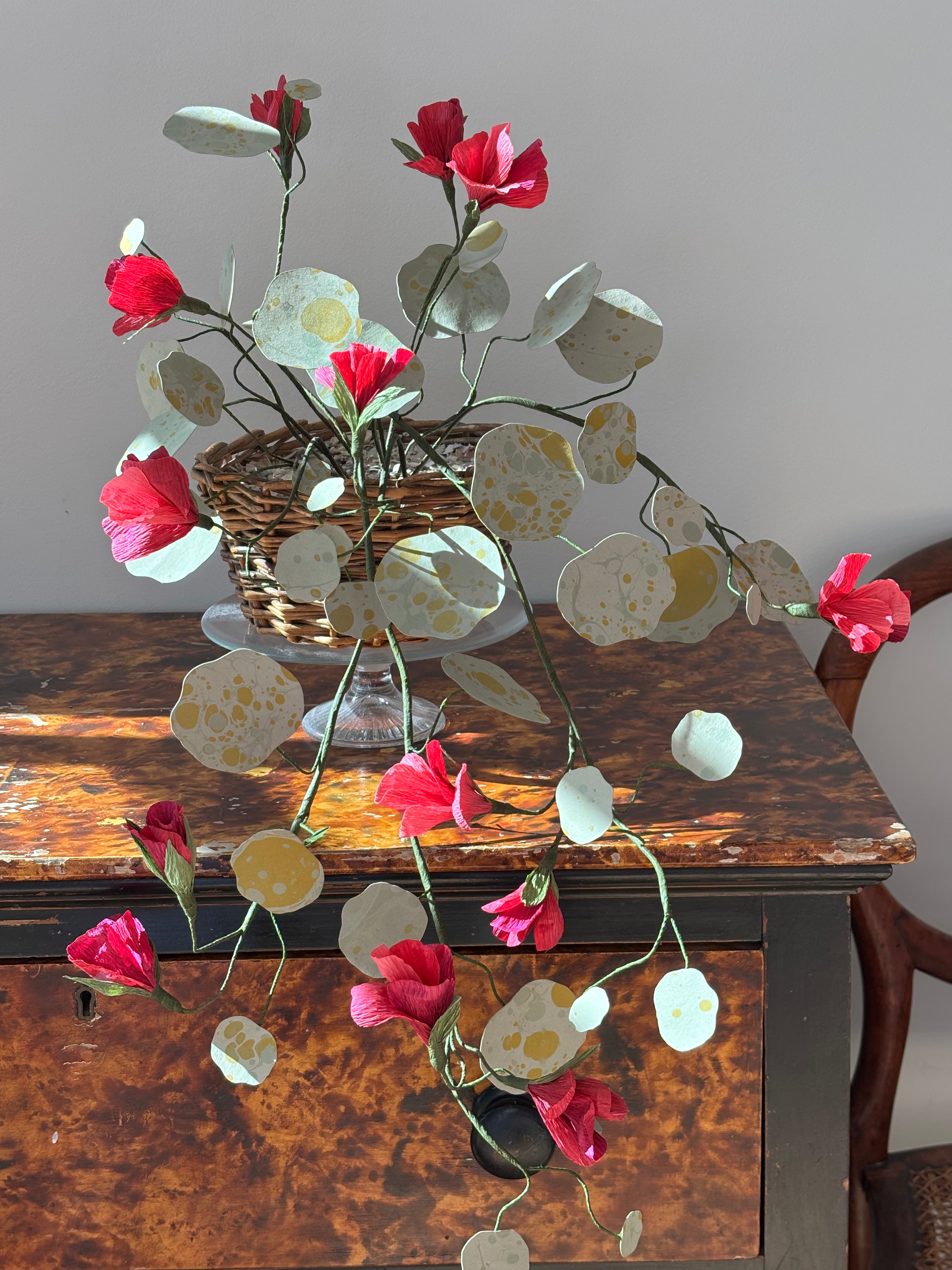 Nasturtium, trailing
