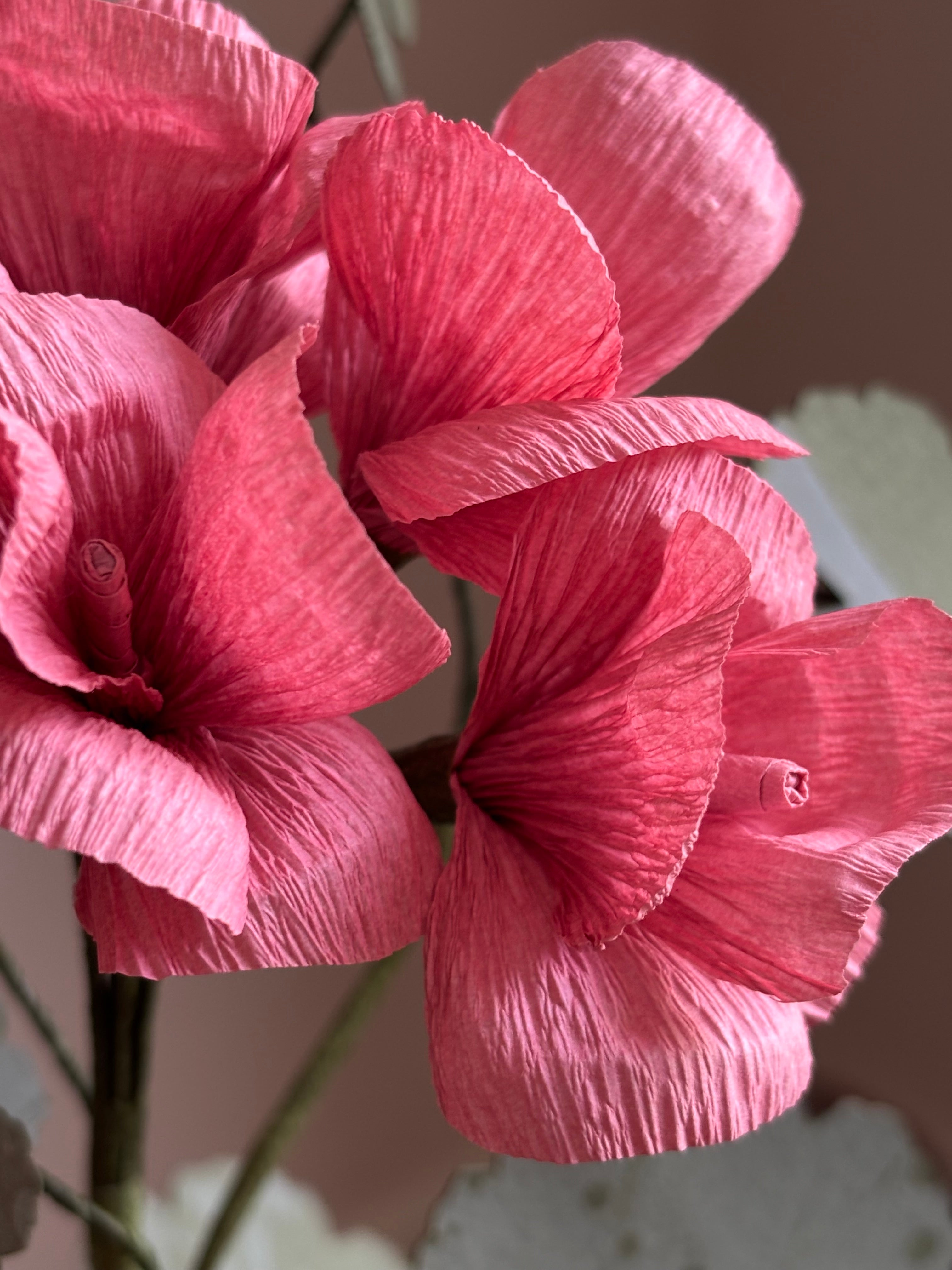 Paper Geraniums