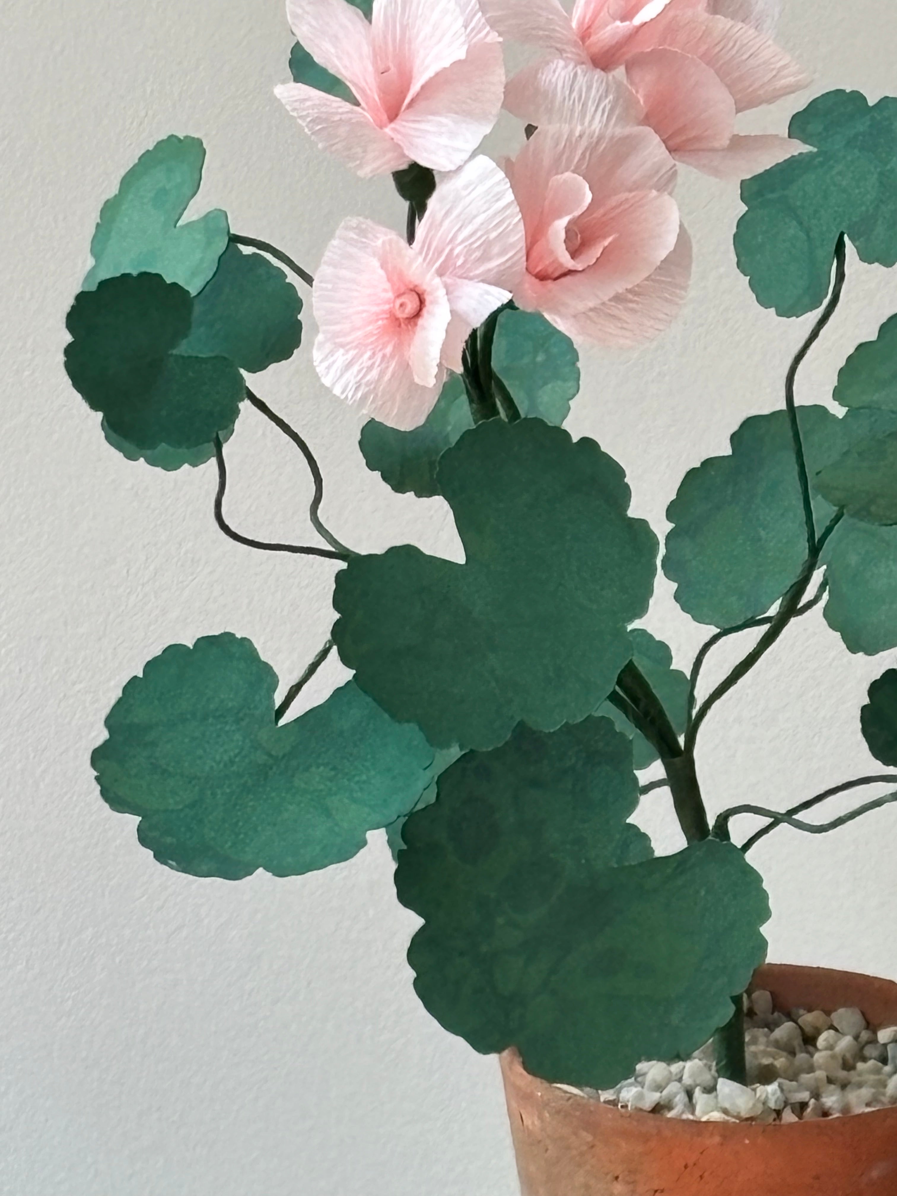 Paper Geranium