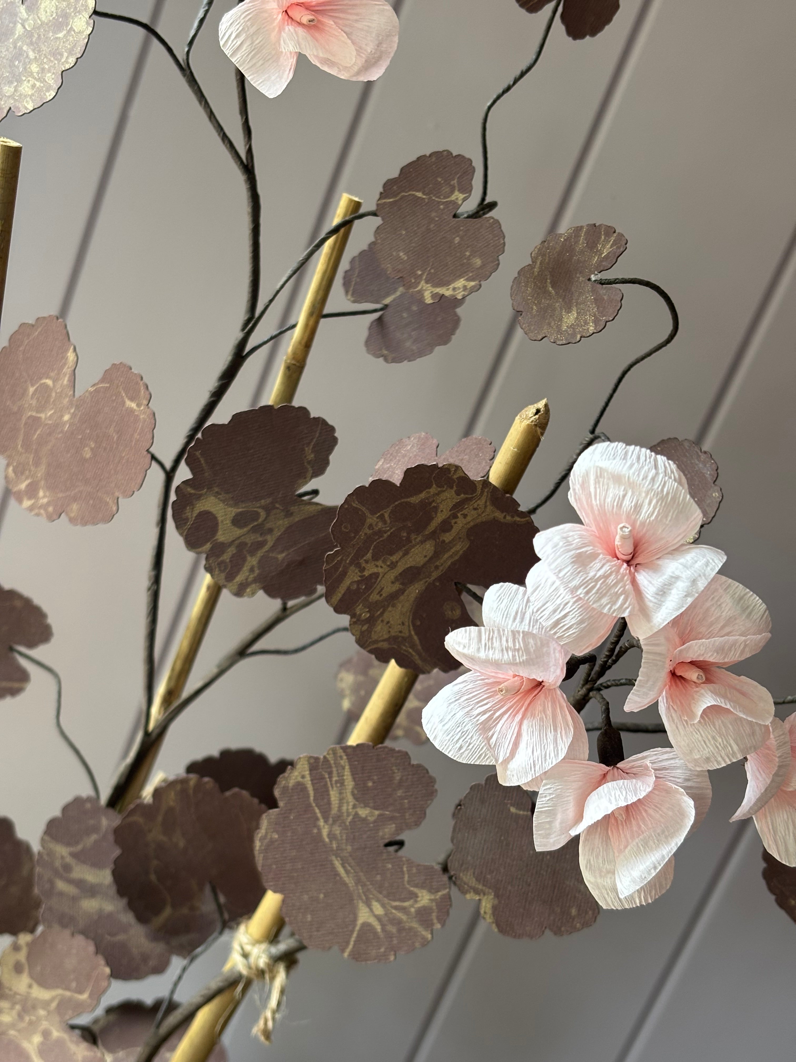 Paper geranium