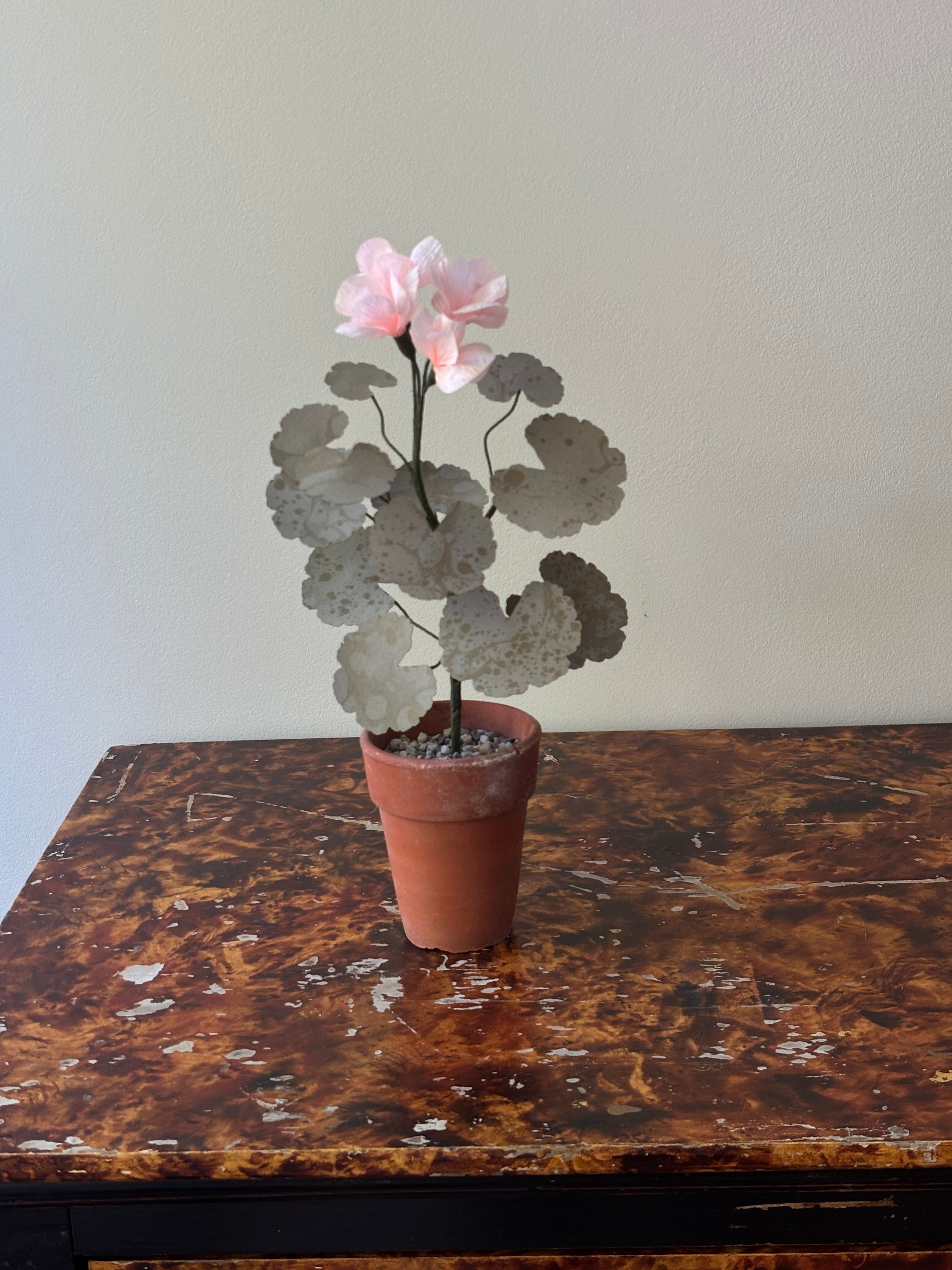 Paper Geranium