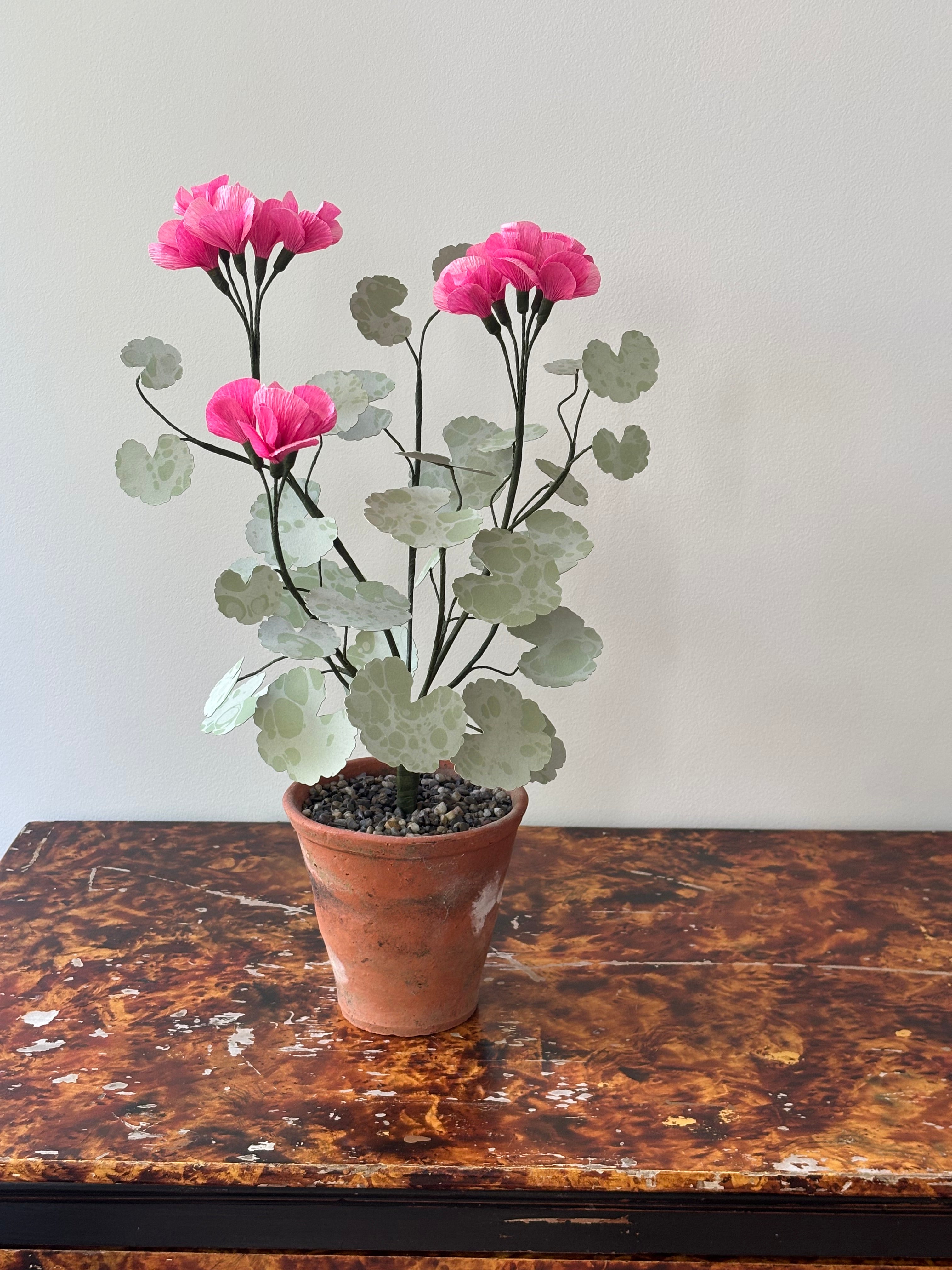 Paper Geranium