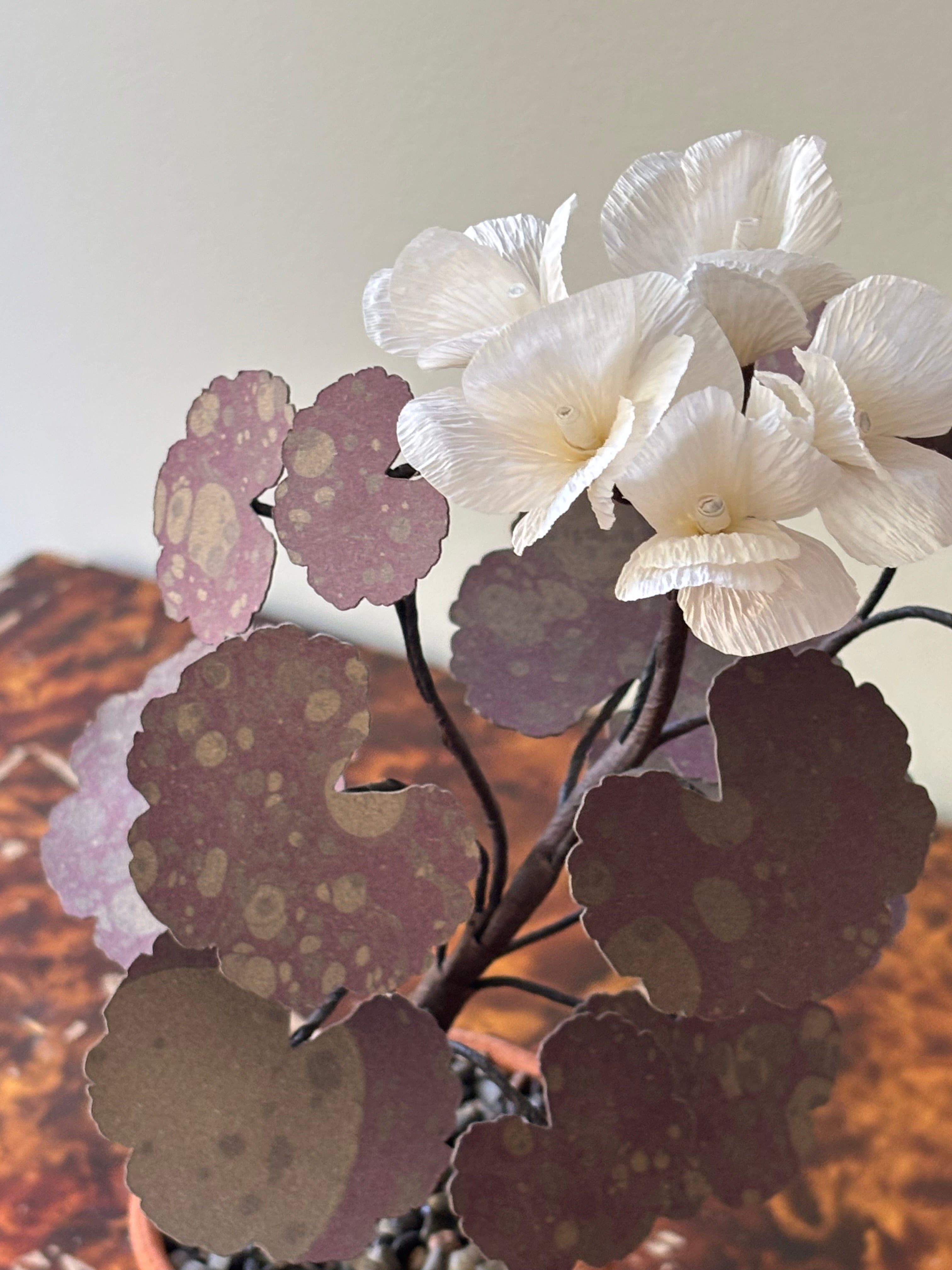 Paper Geranium