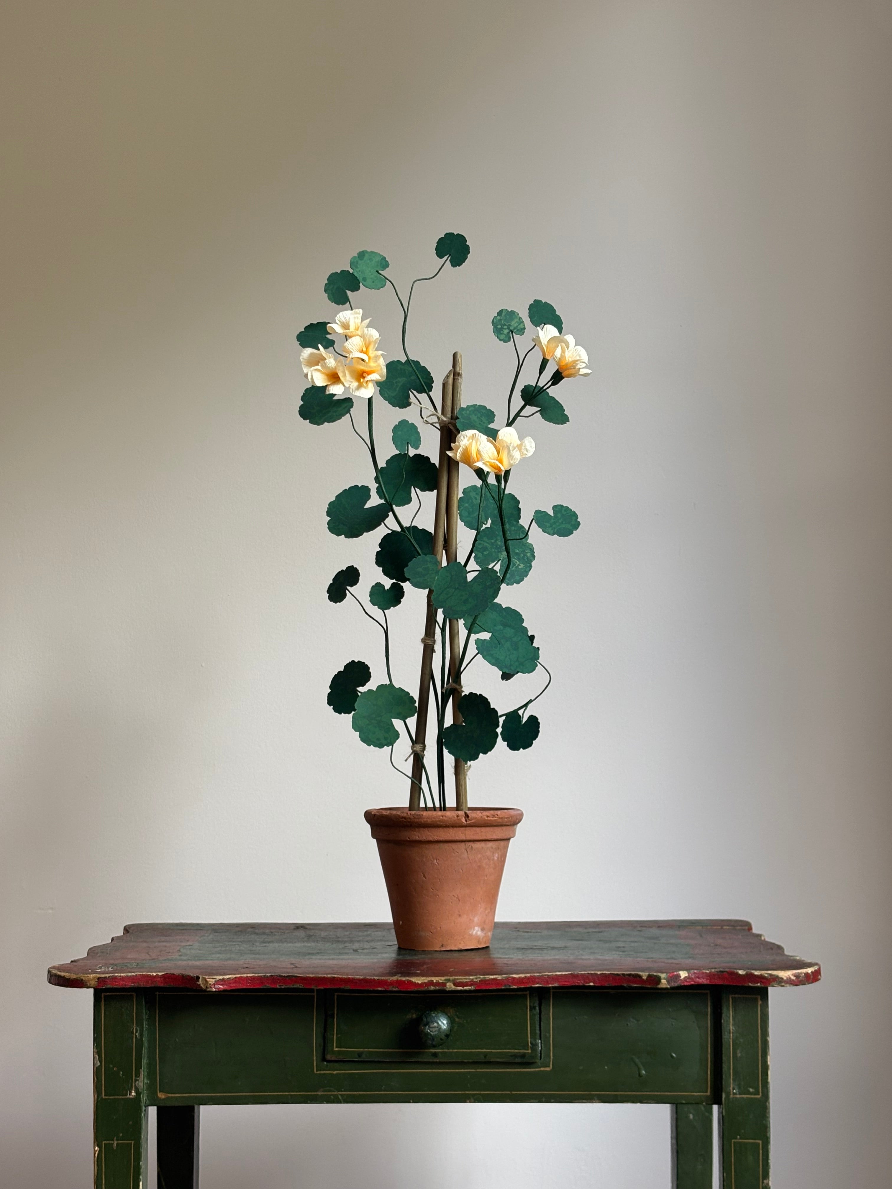 Paper Geranium