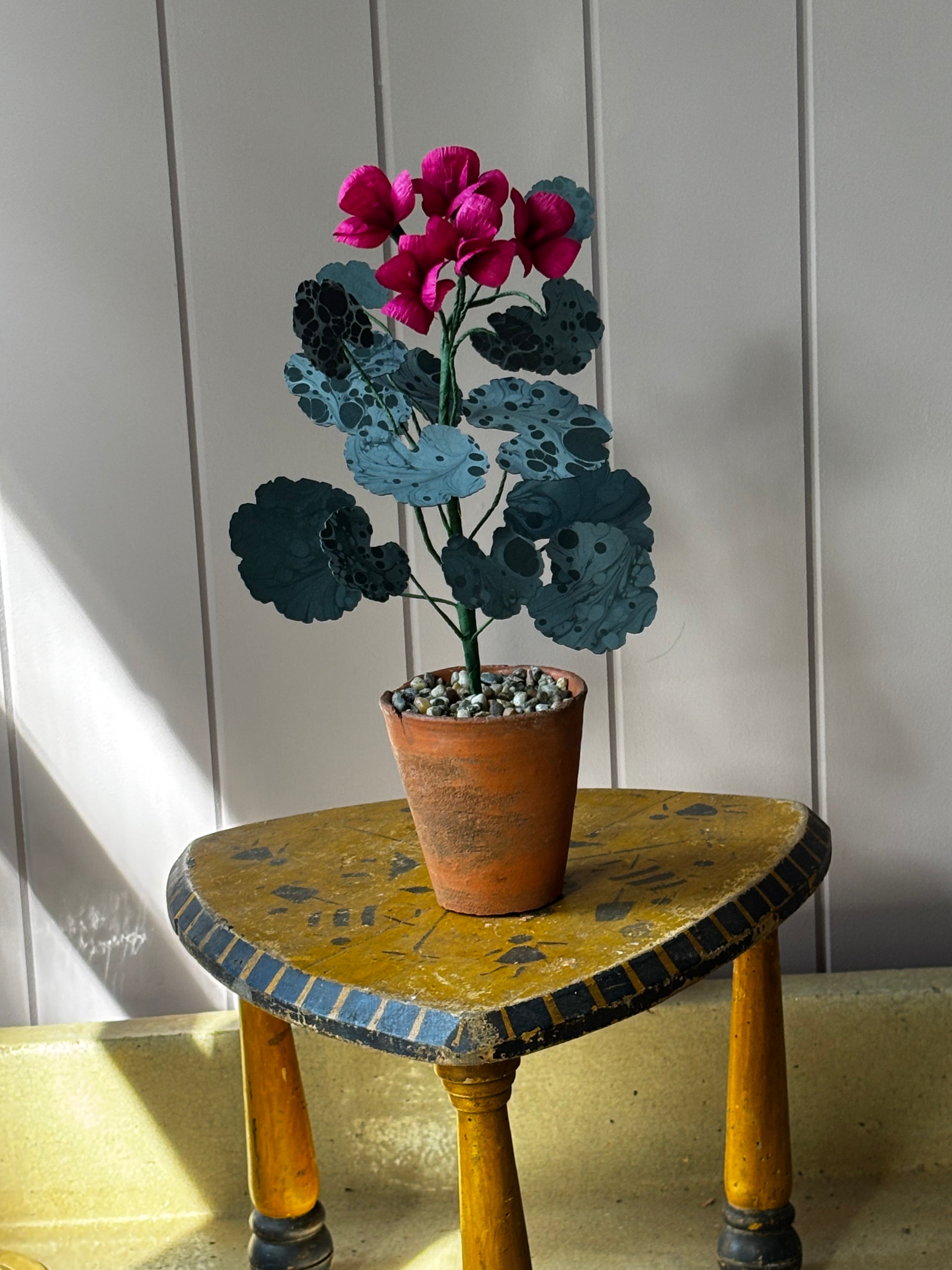 Paper geranium