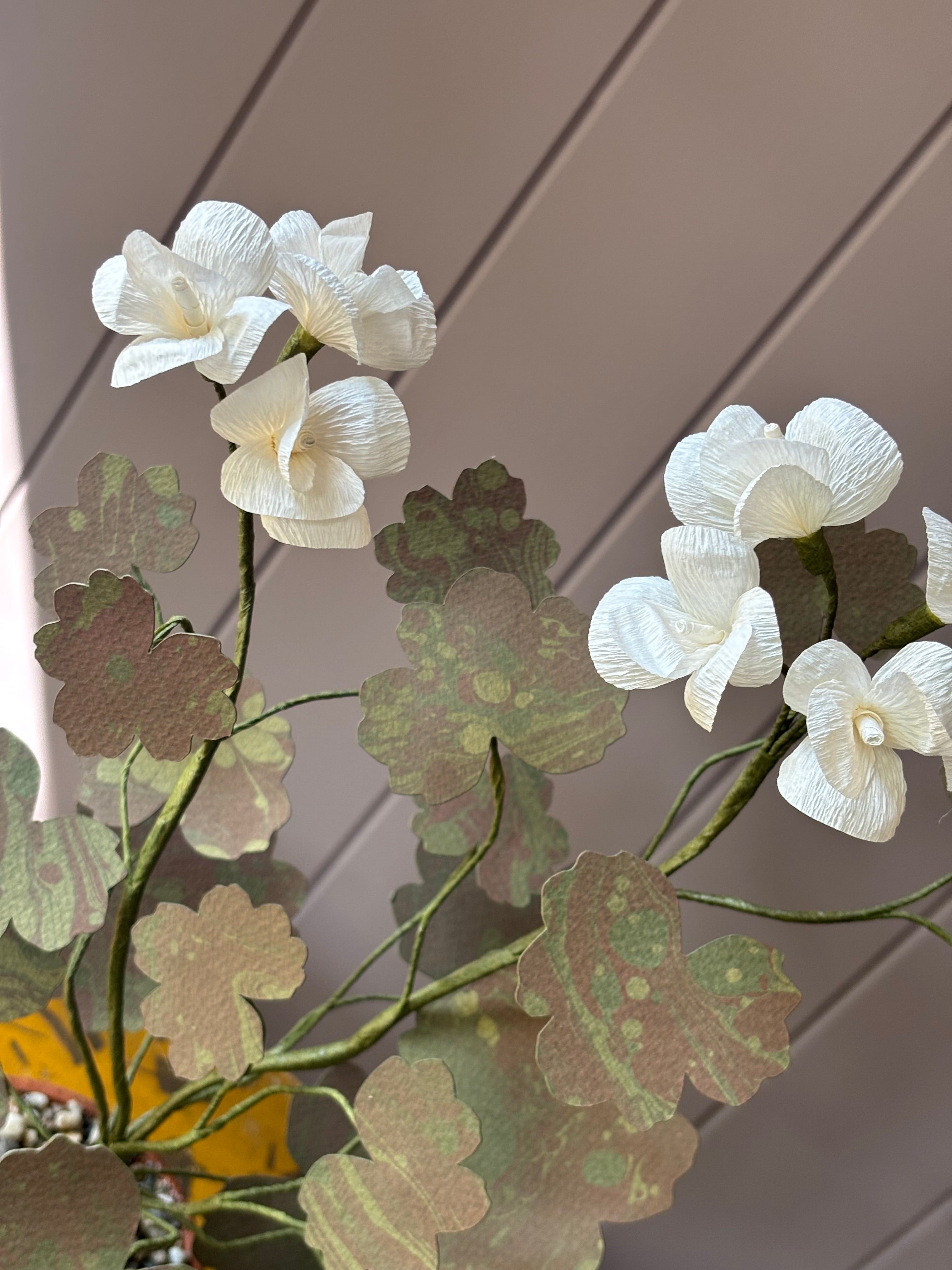 Paper geranium