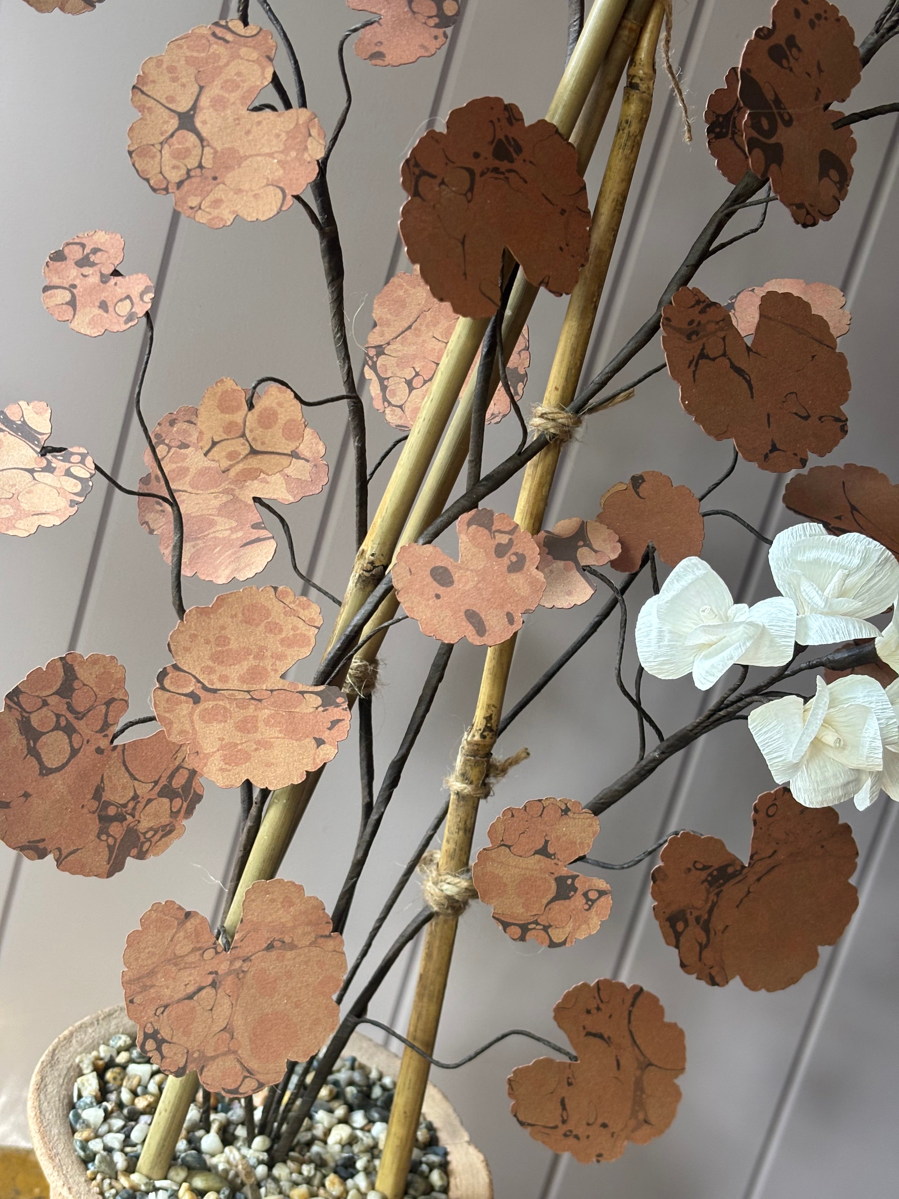 Paper geranium