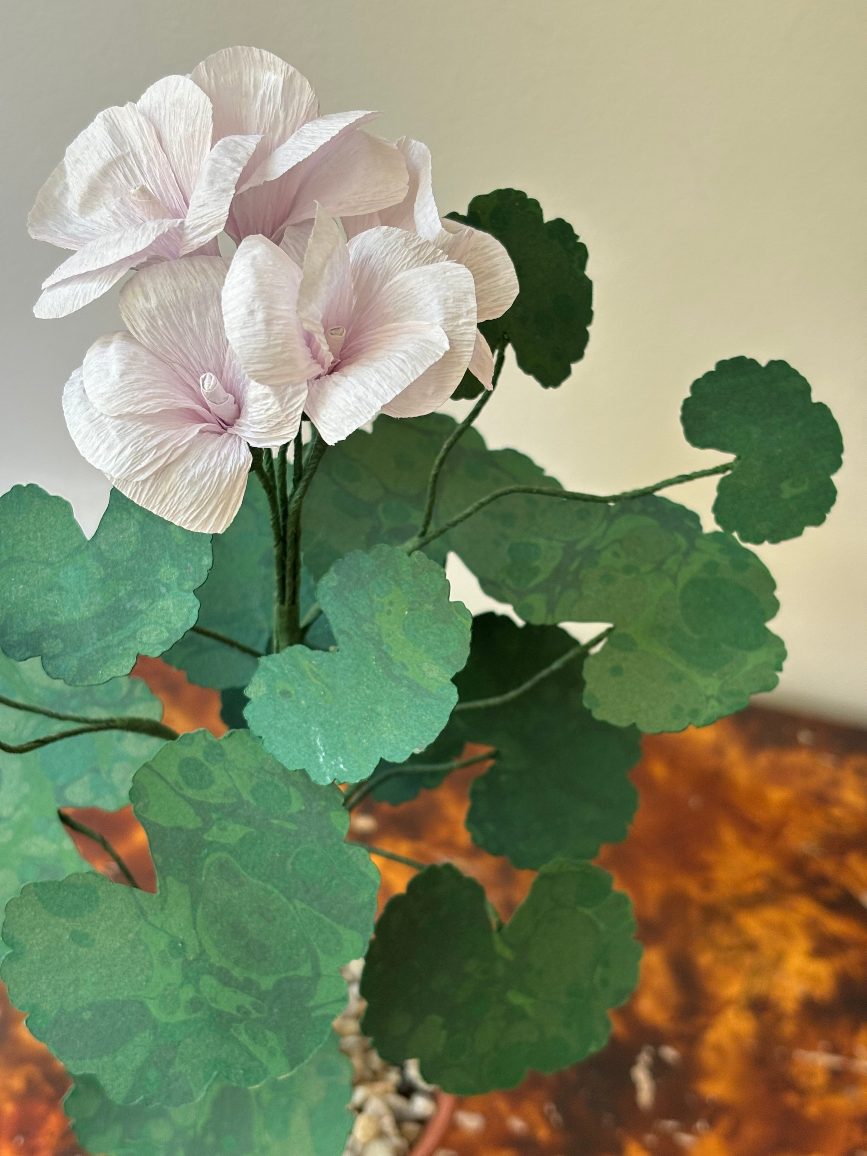 Paper Geranium