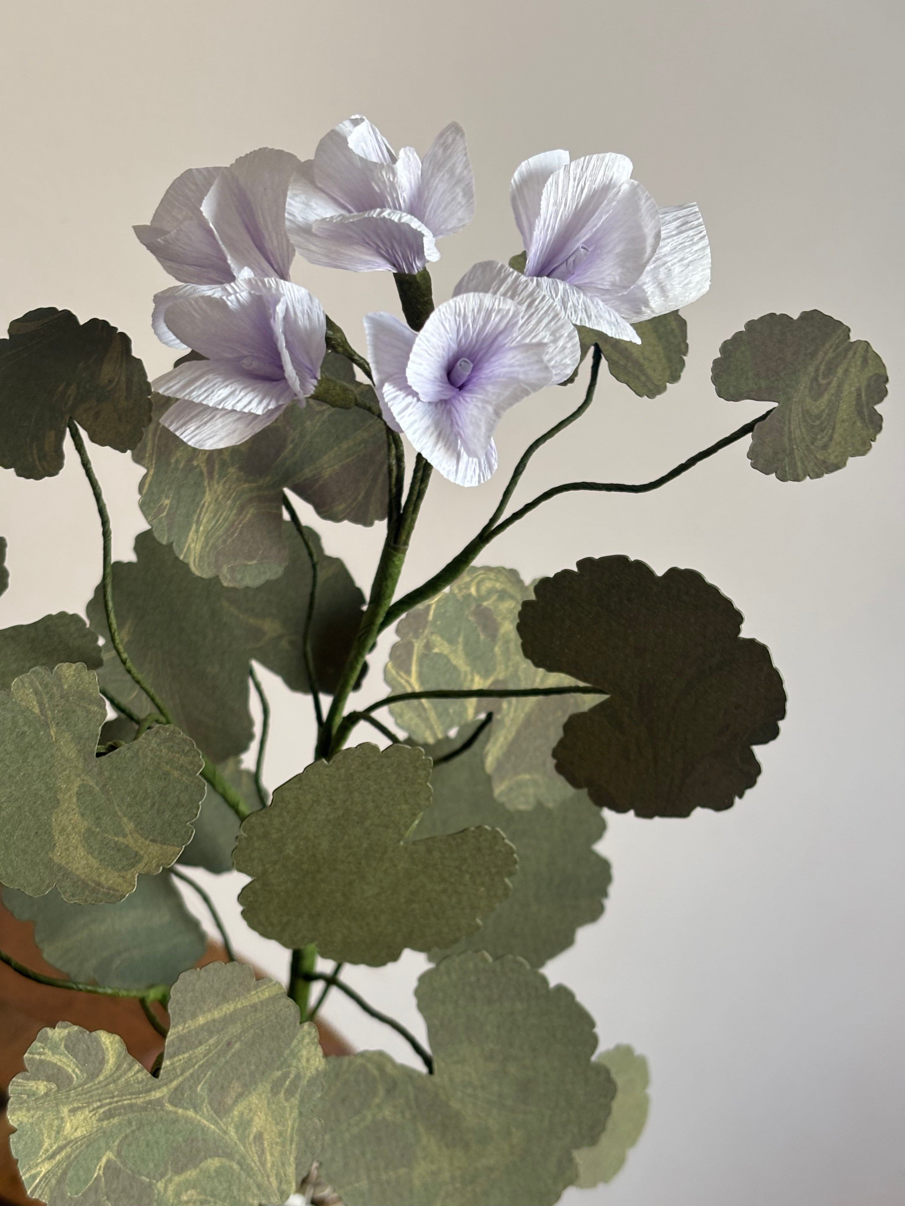 Paper Geranium