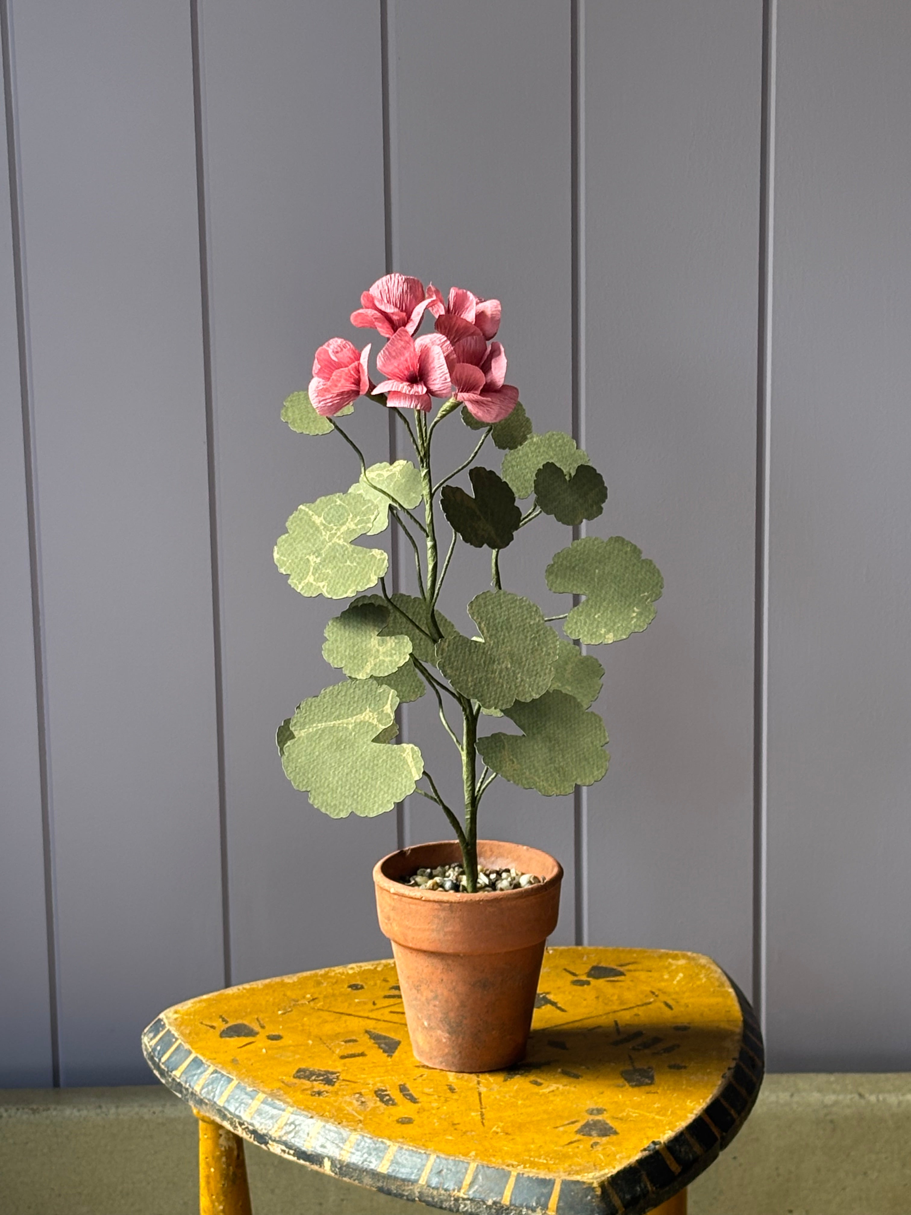Paper Geranium