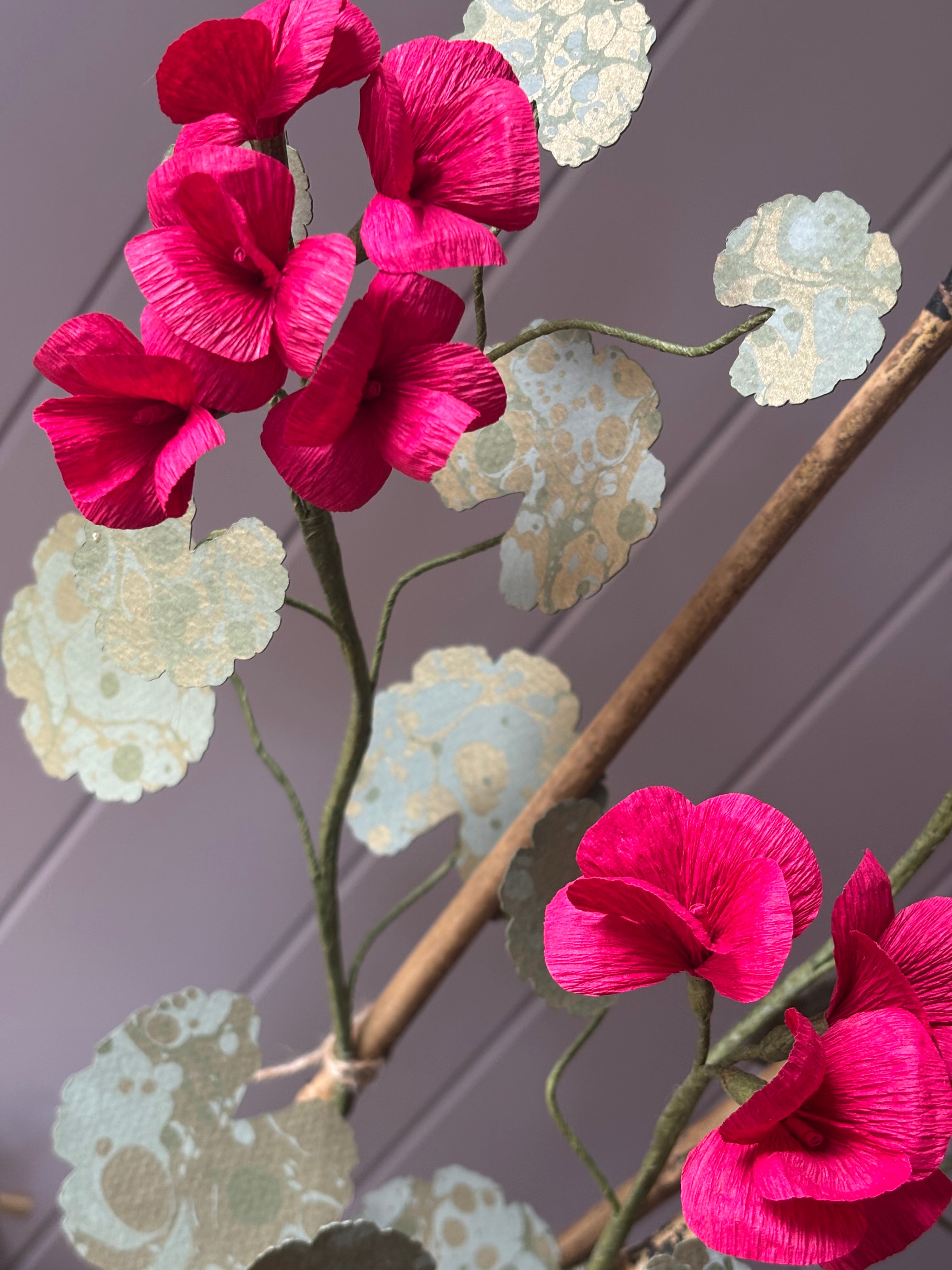 Paper geranium