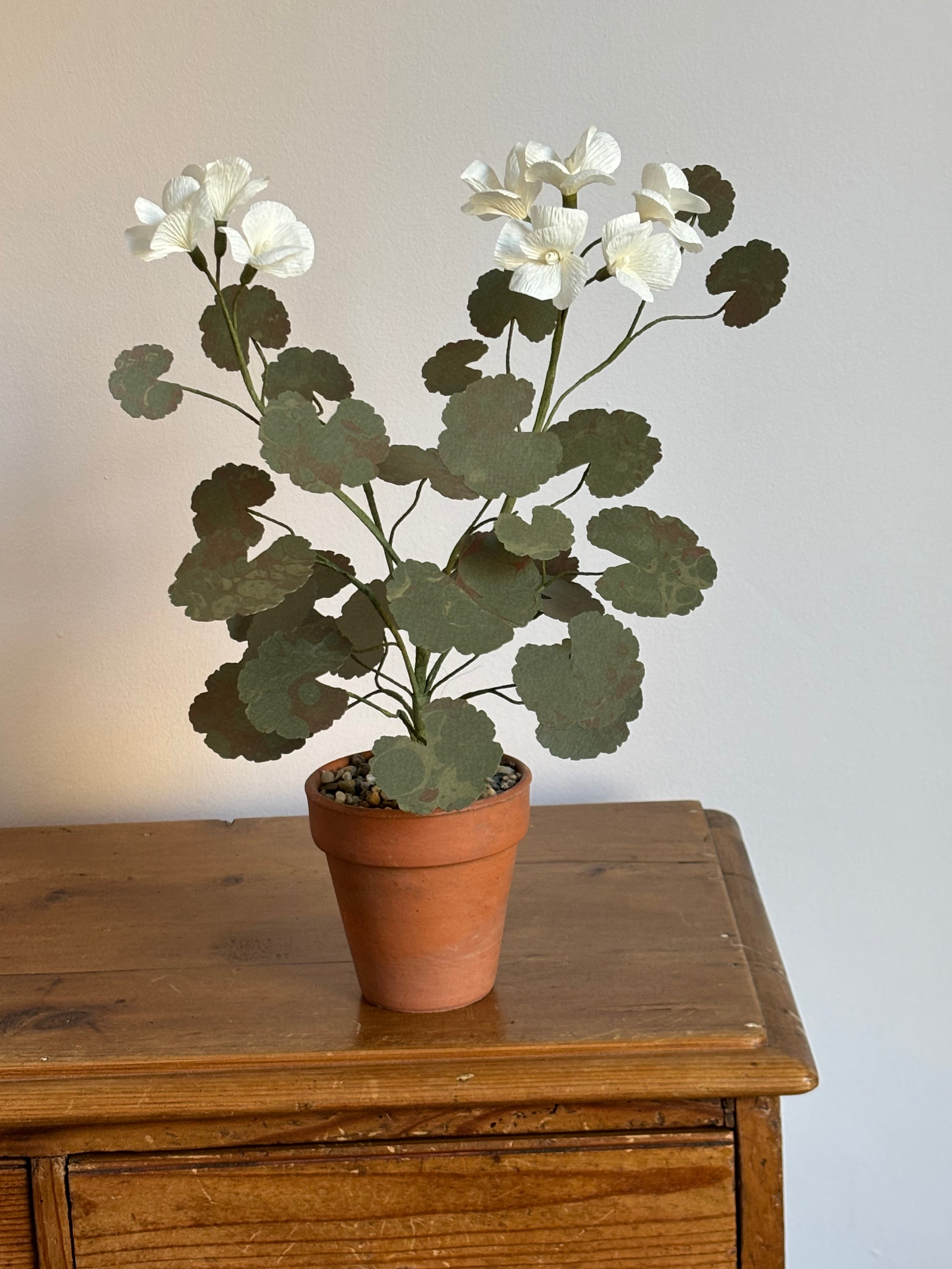 Paper Geranium