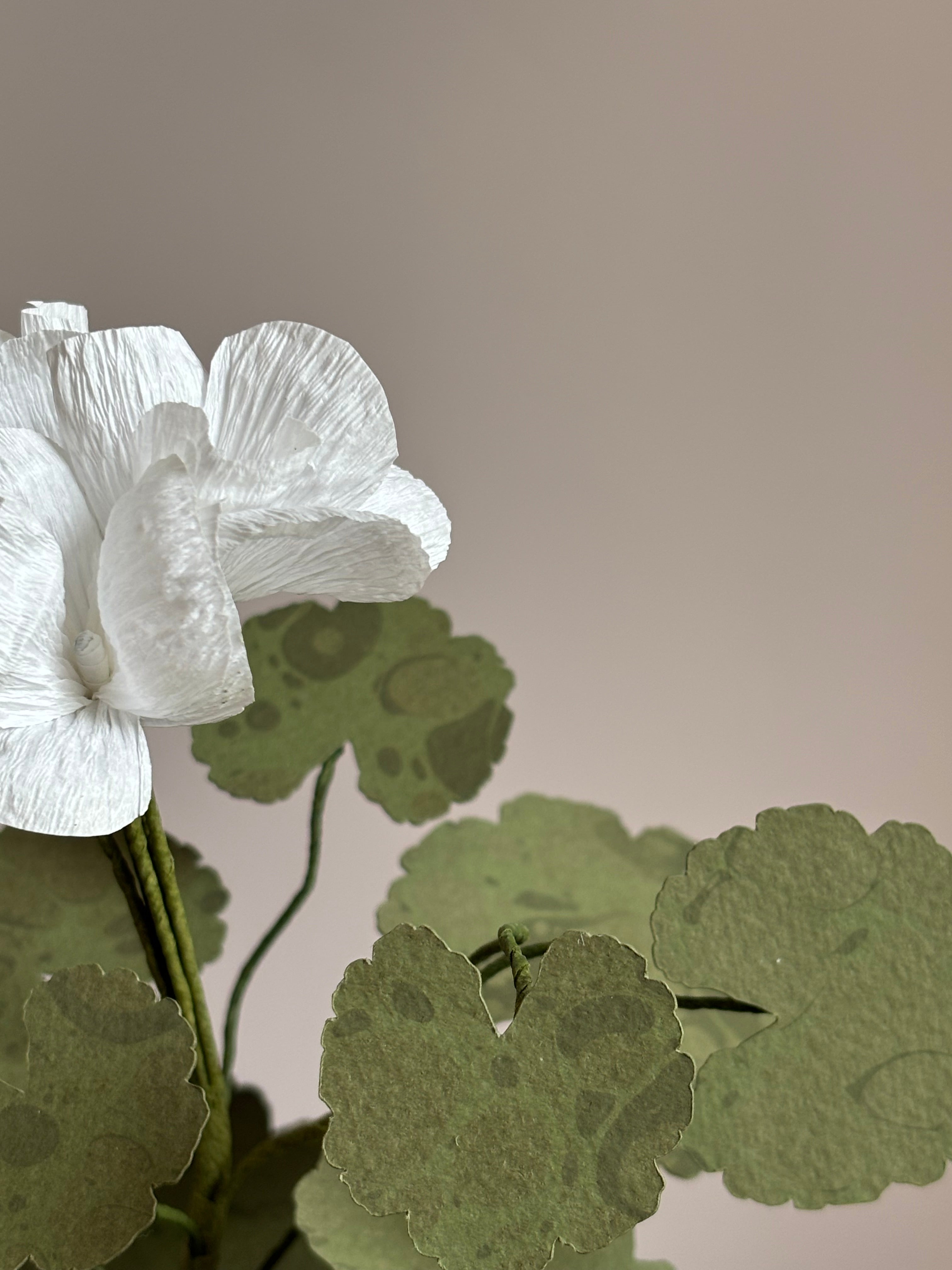 Paper Geraniums