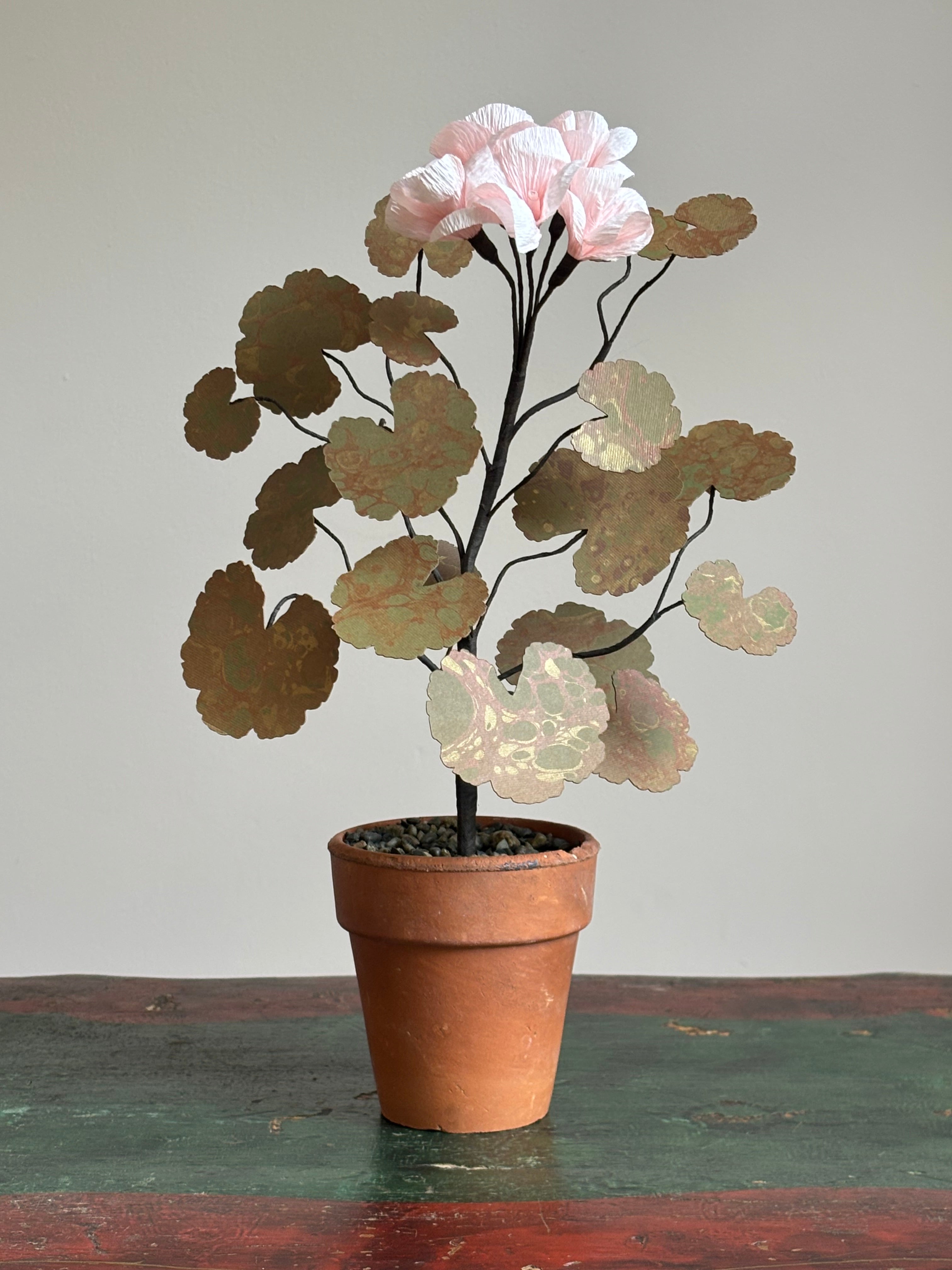 Paper Geraniums