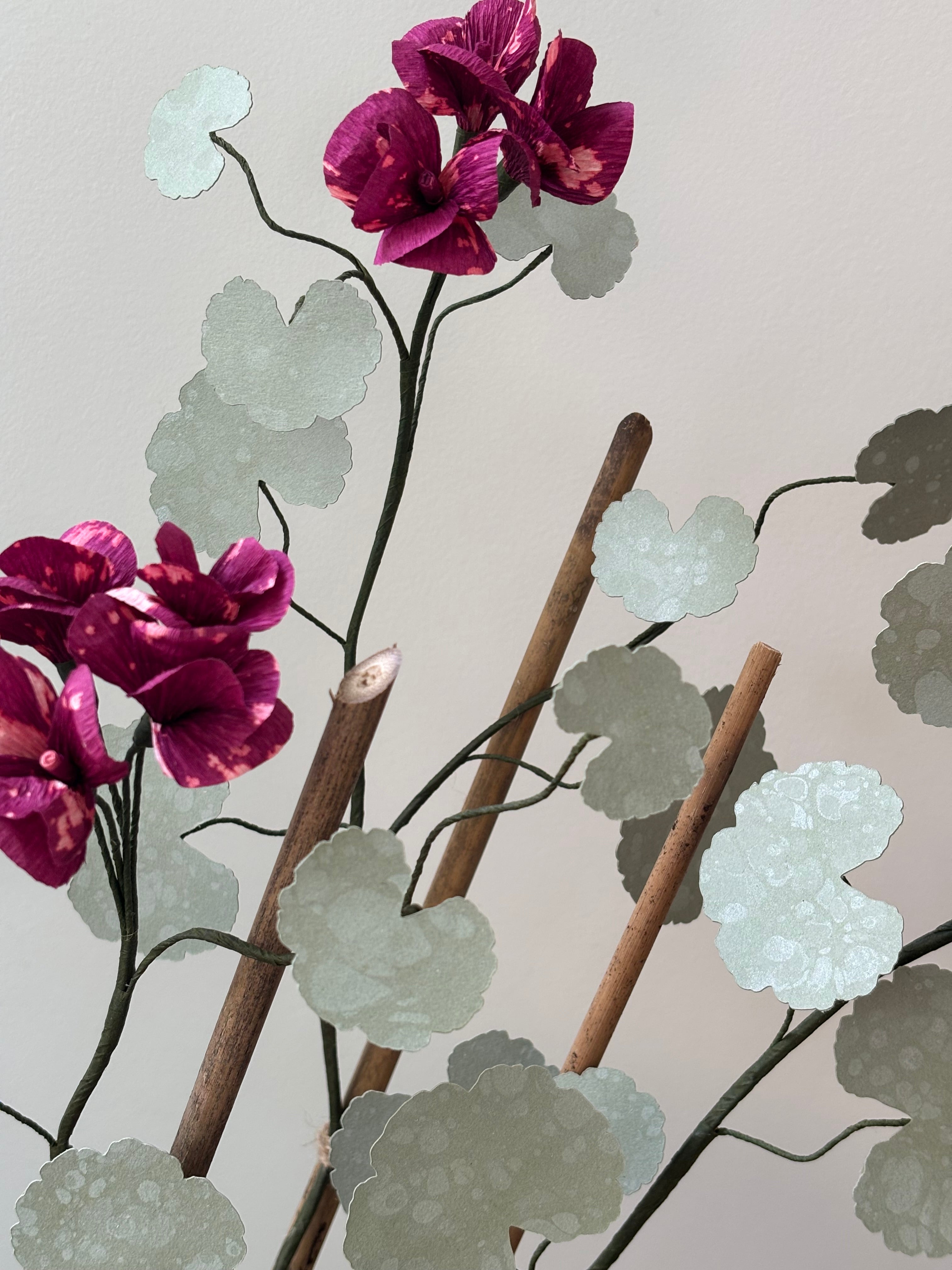Paper Geranium