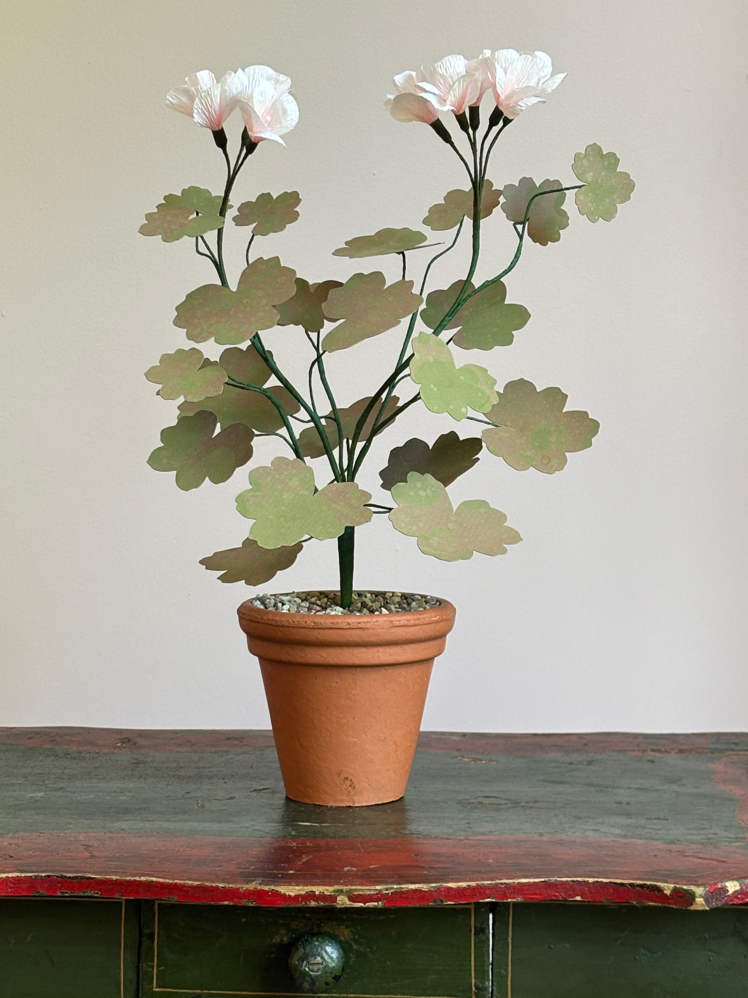 Paper Geranium