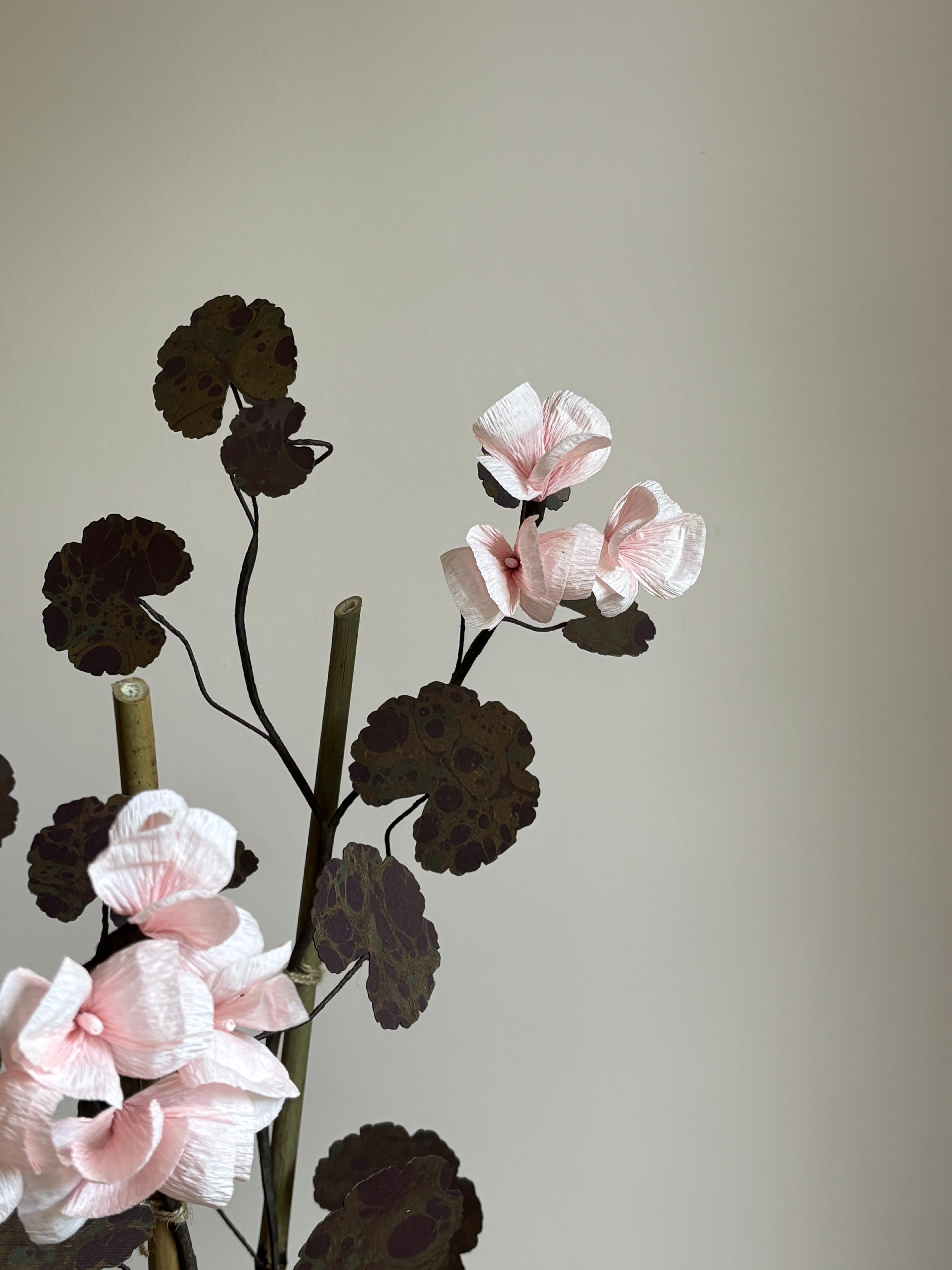Paper Geranium
