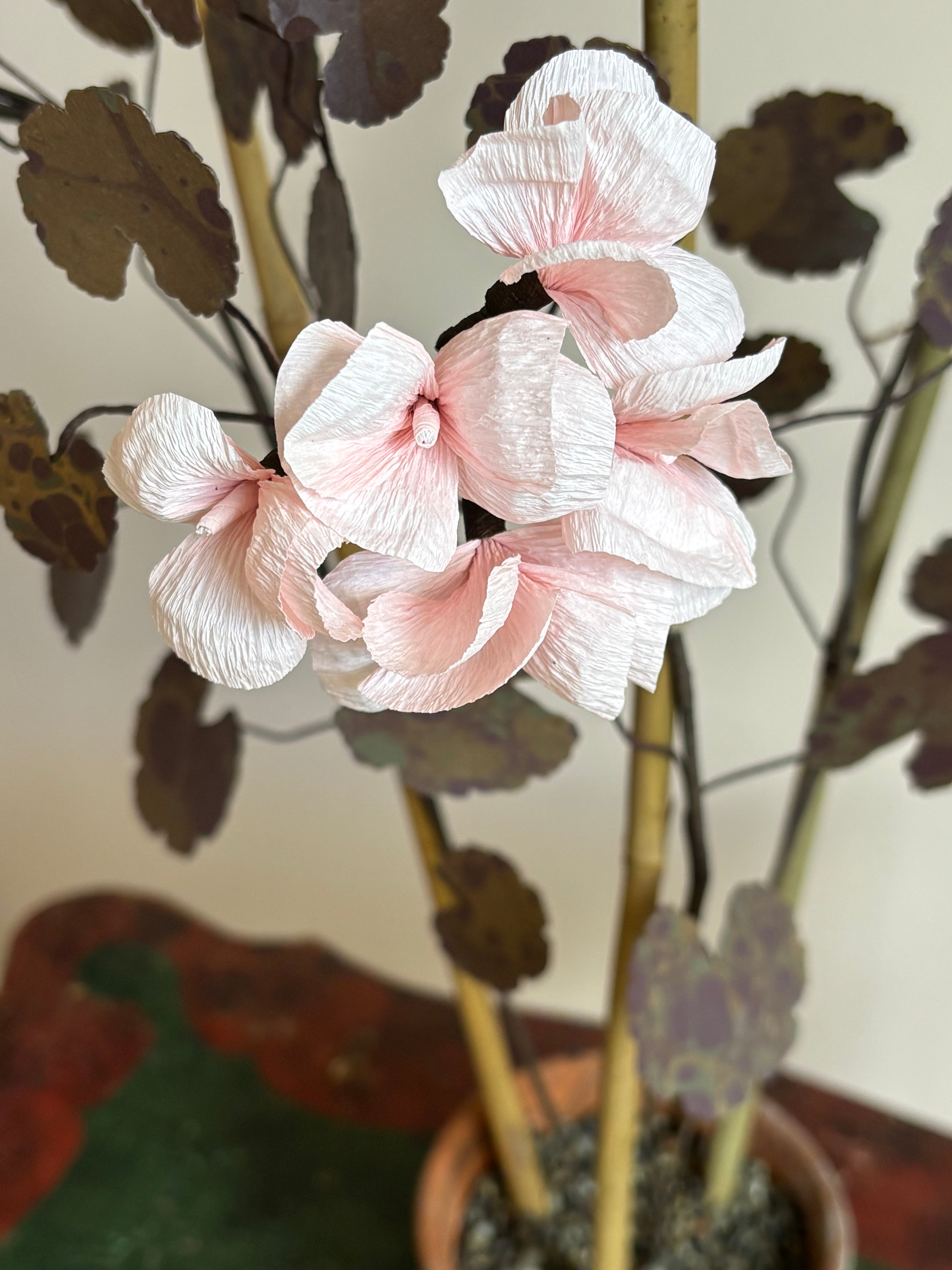 Paper Geranium