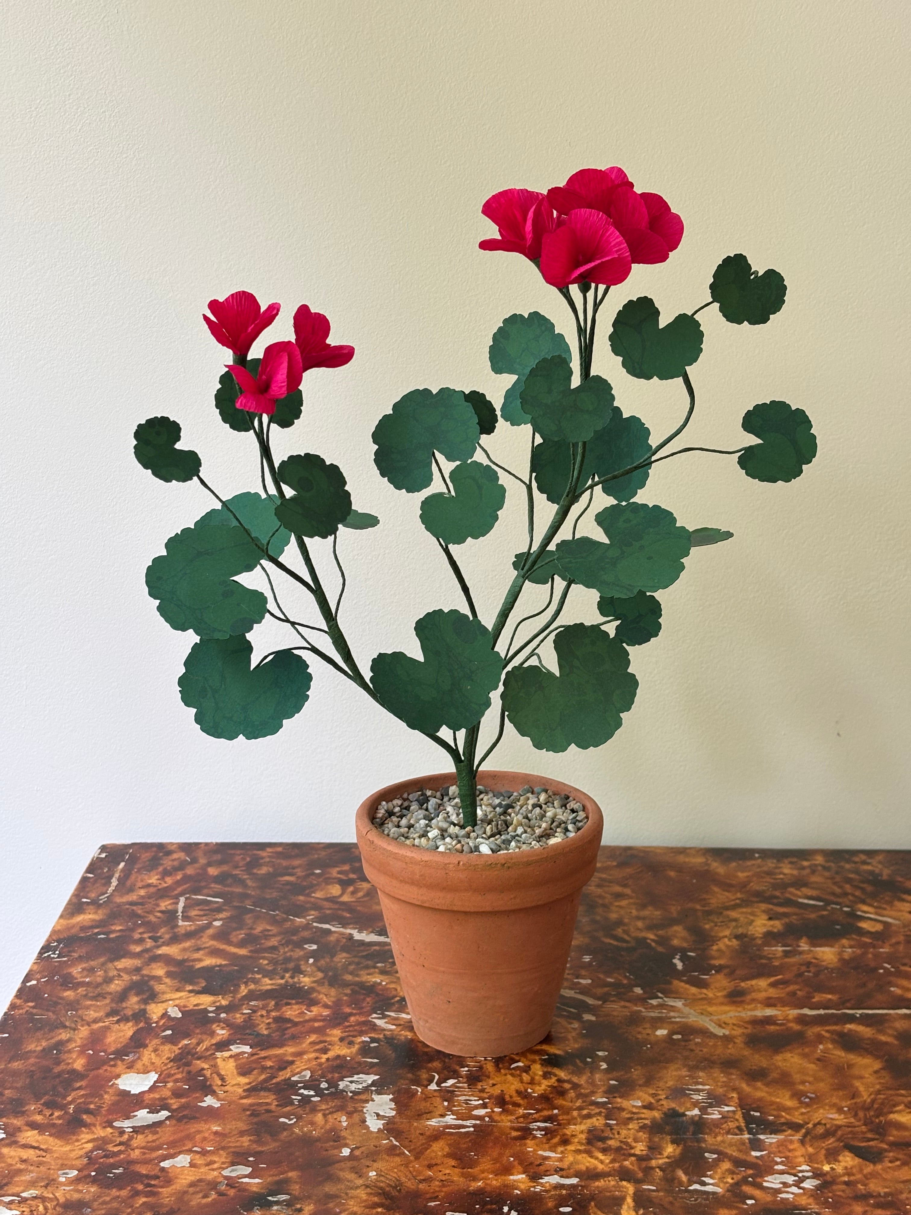 Paper Geranium