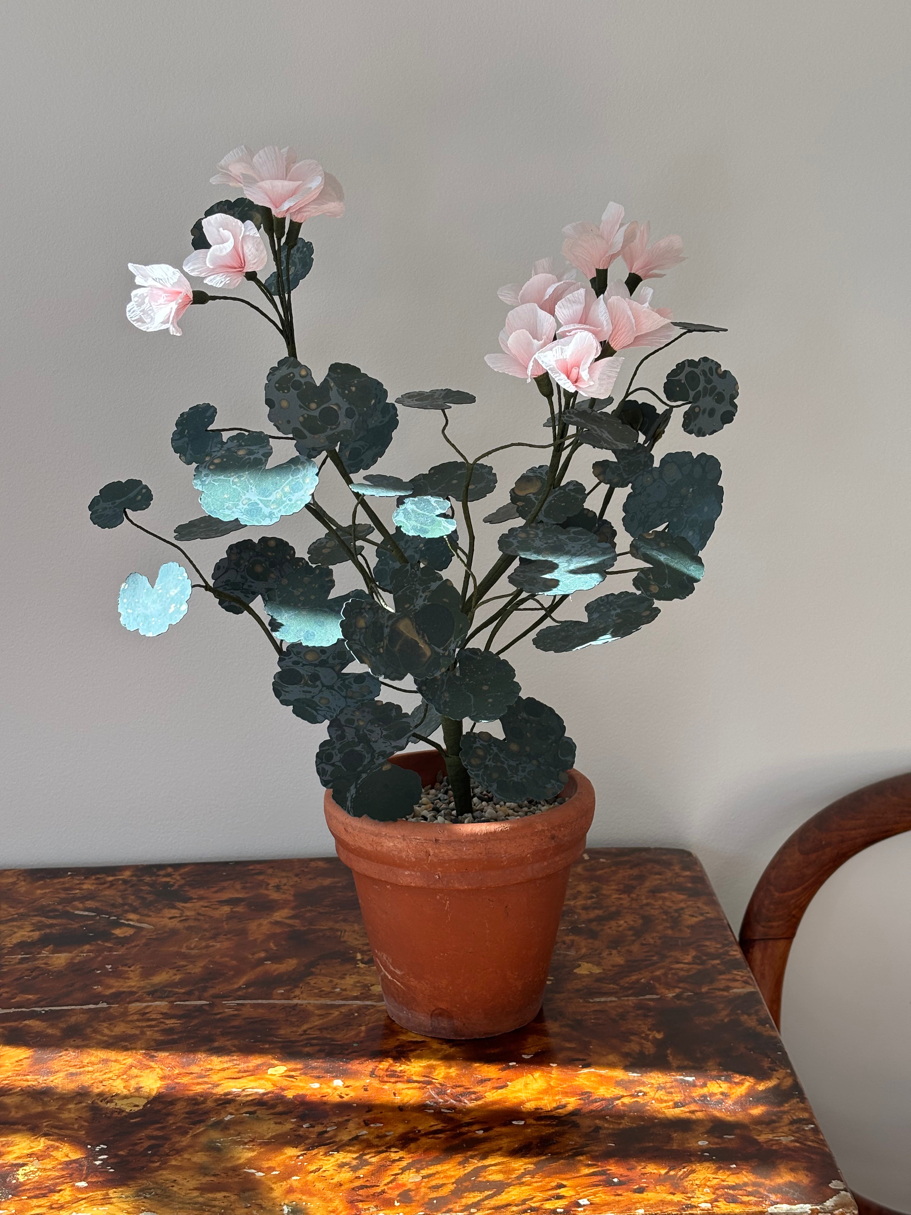 Paper Geranium