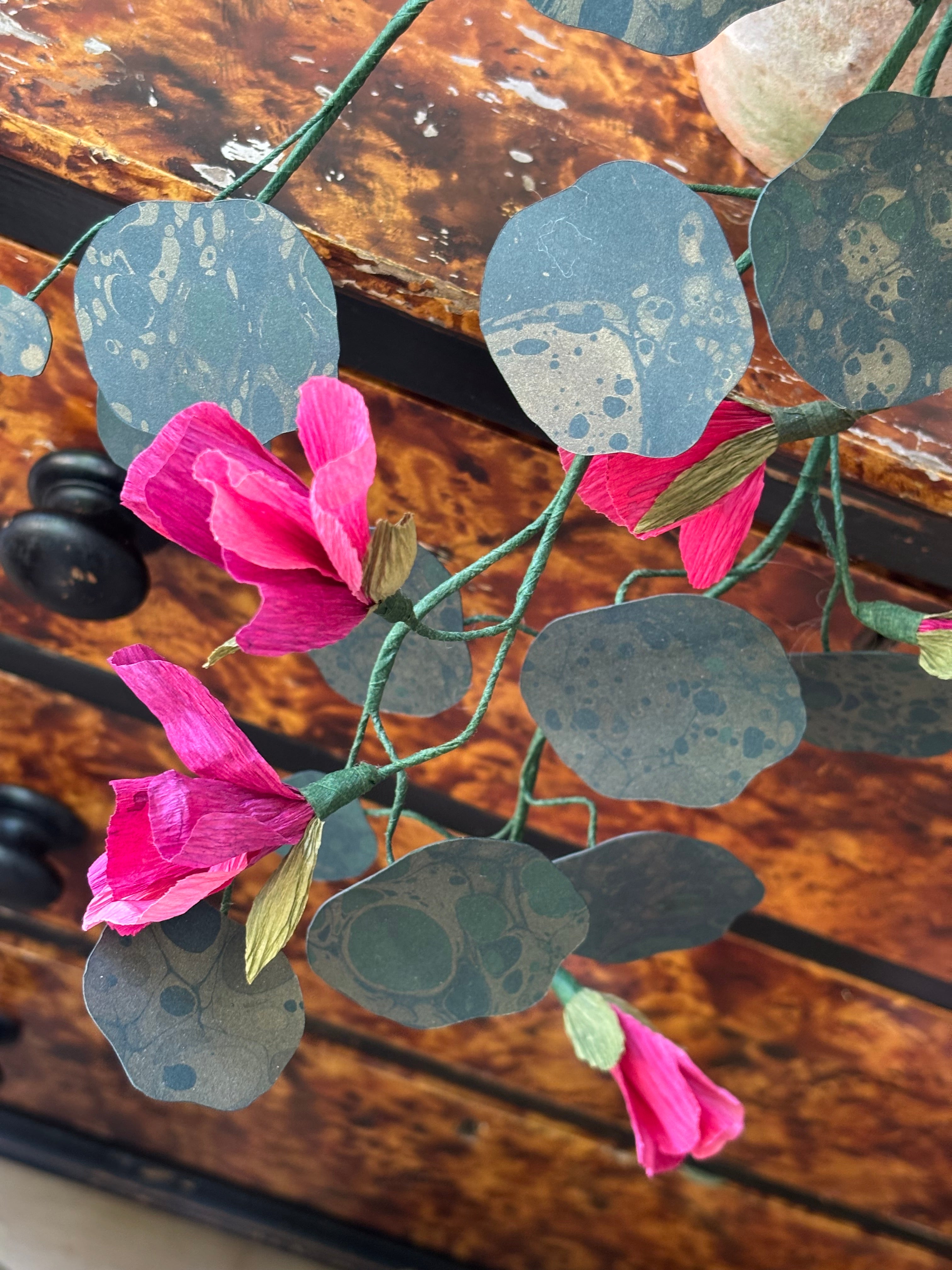 Paper nasturtium, trailing