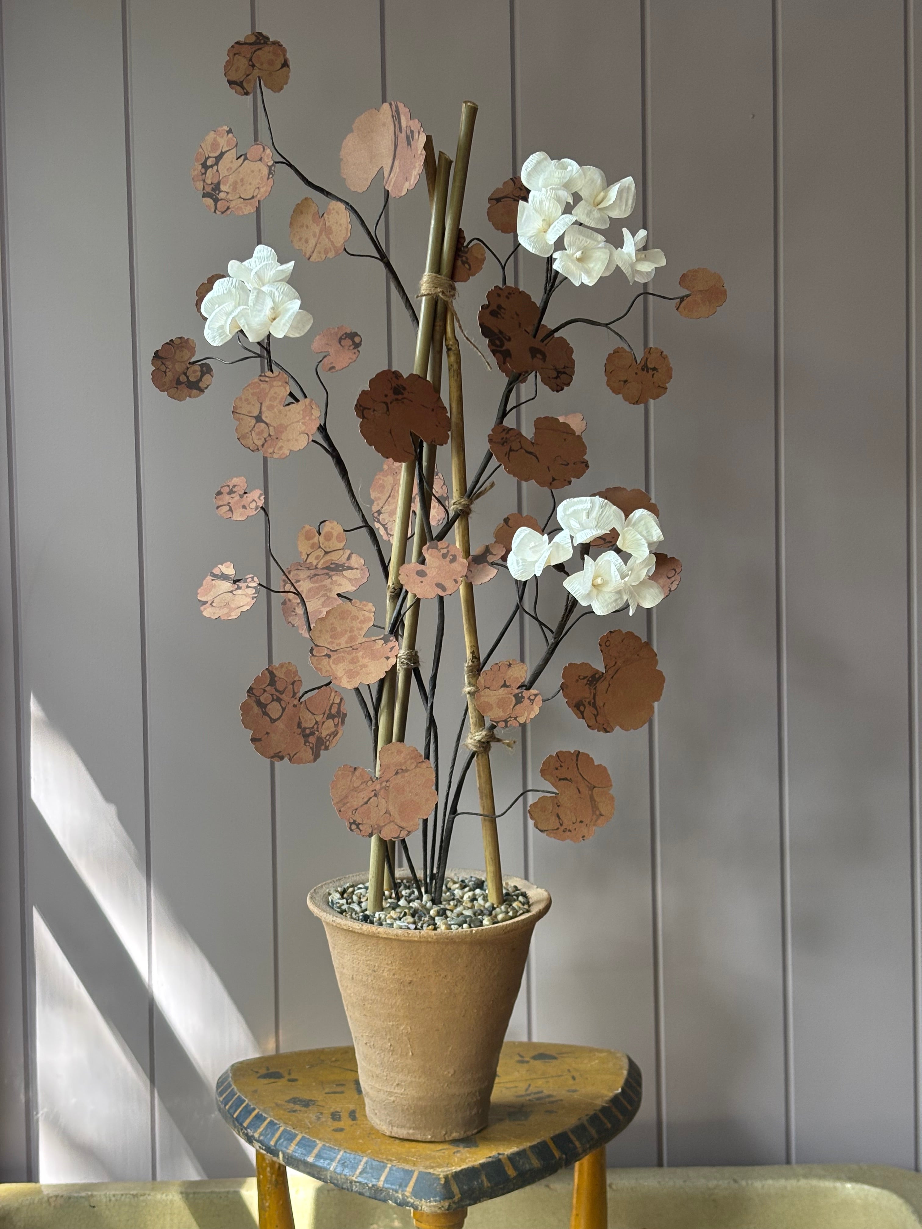 Paper geranium