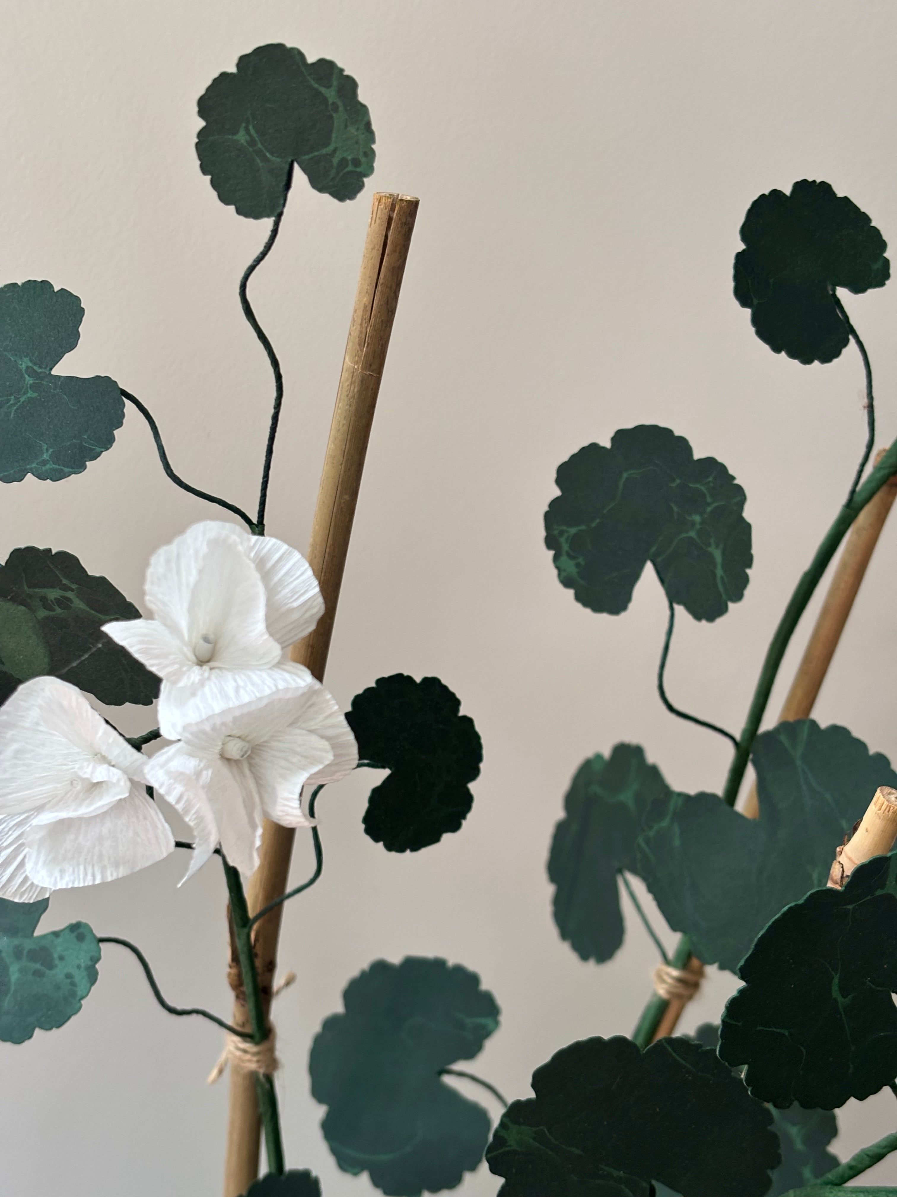 Paper Geranium