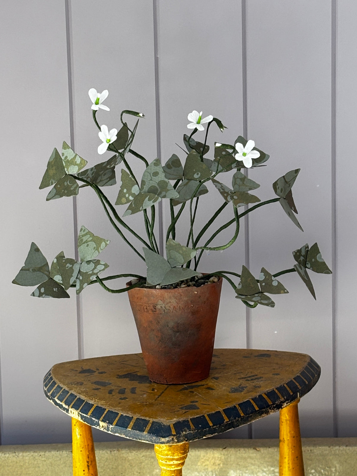 Paper Oxalis