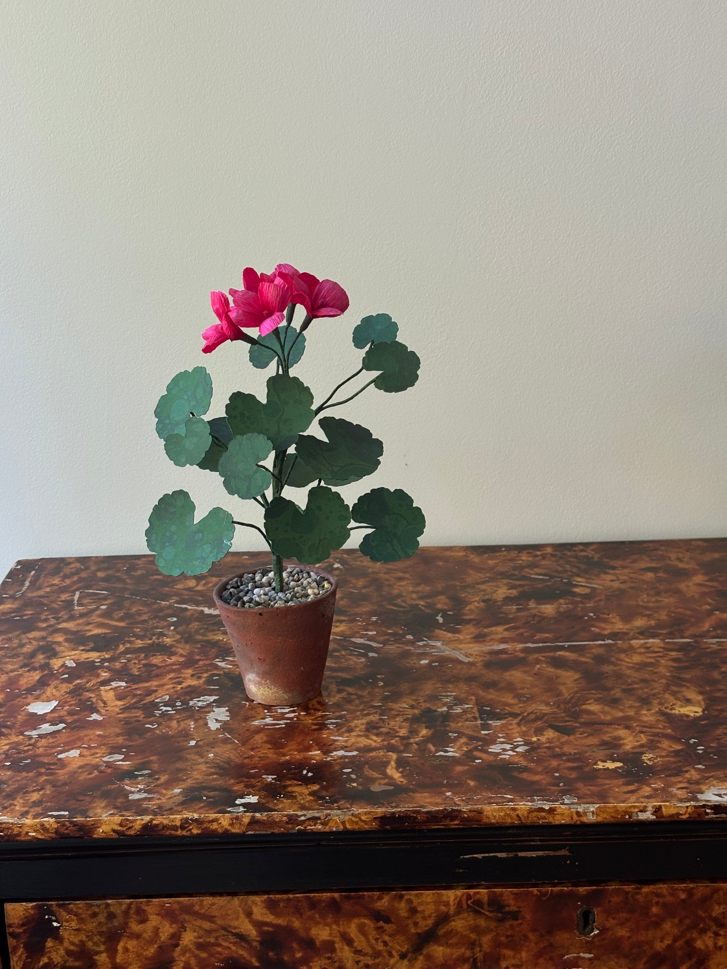 Paper Geranium