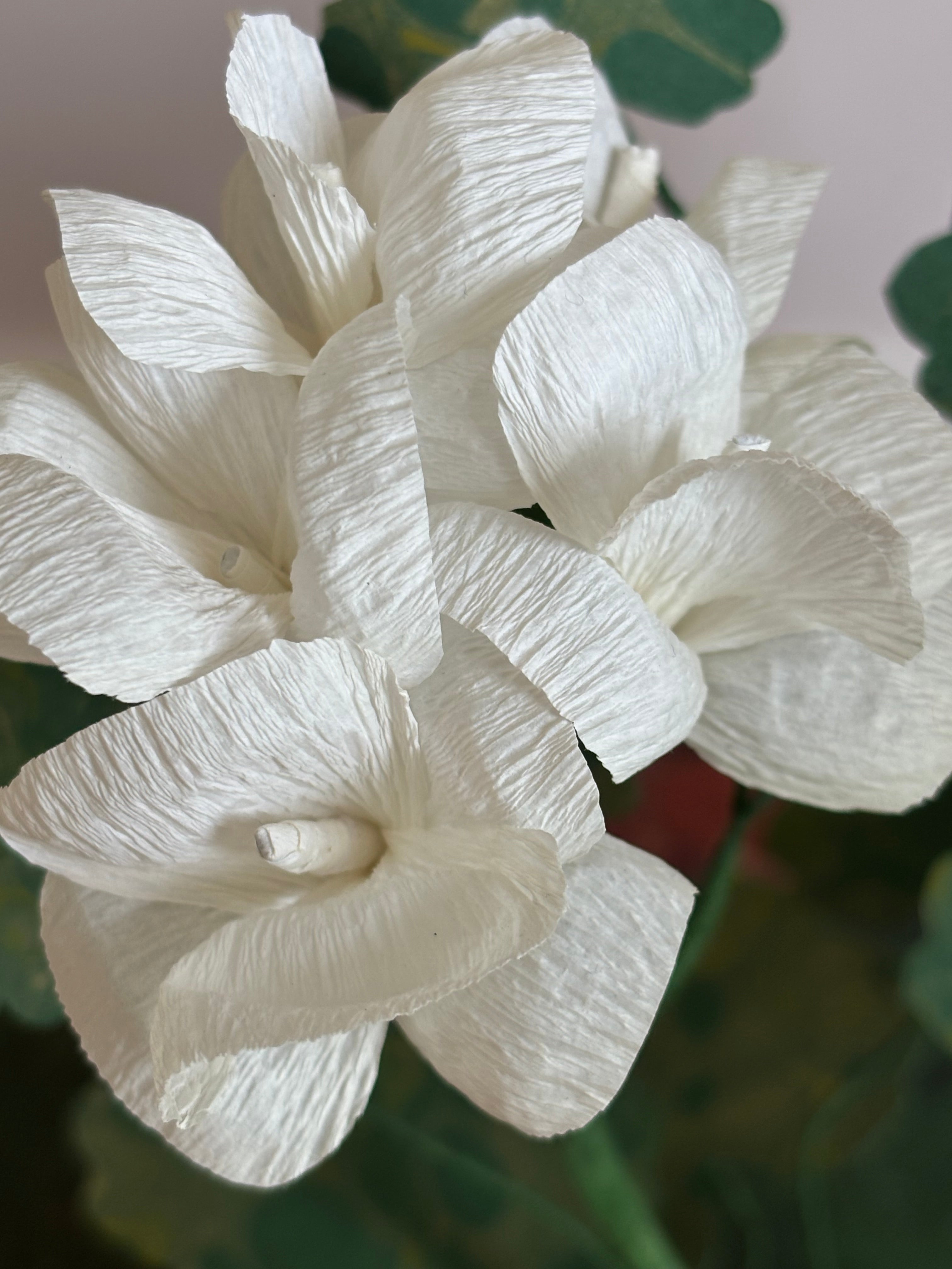 Paper Geranium