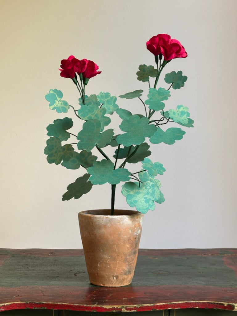 Paper Geranium