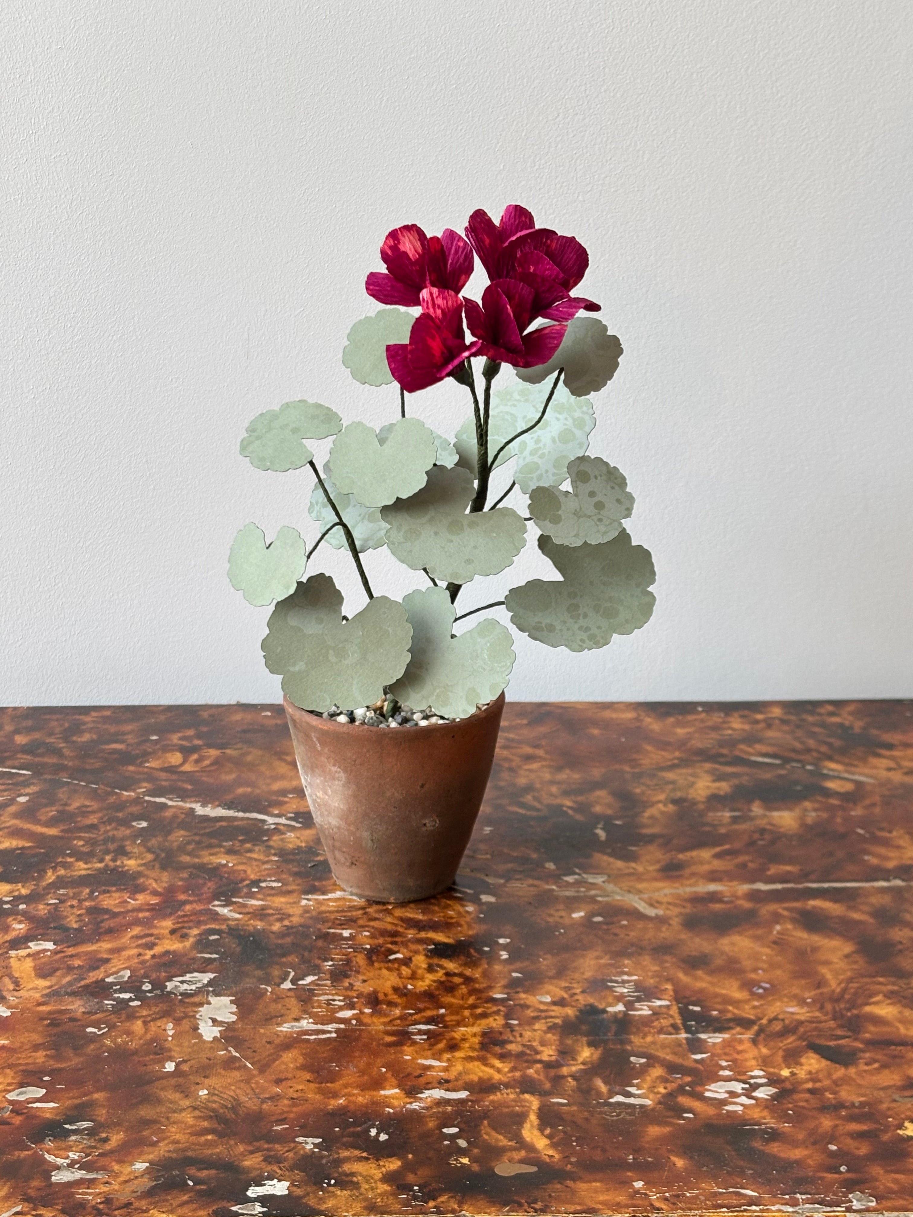 Paper Geranium