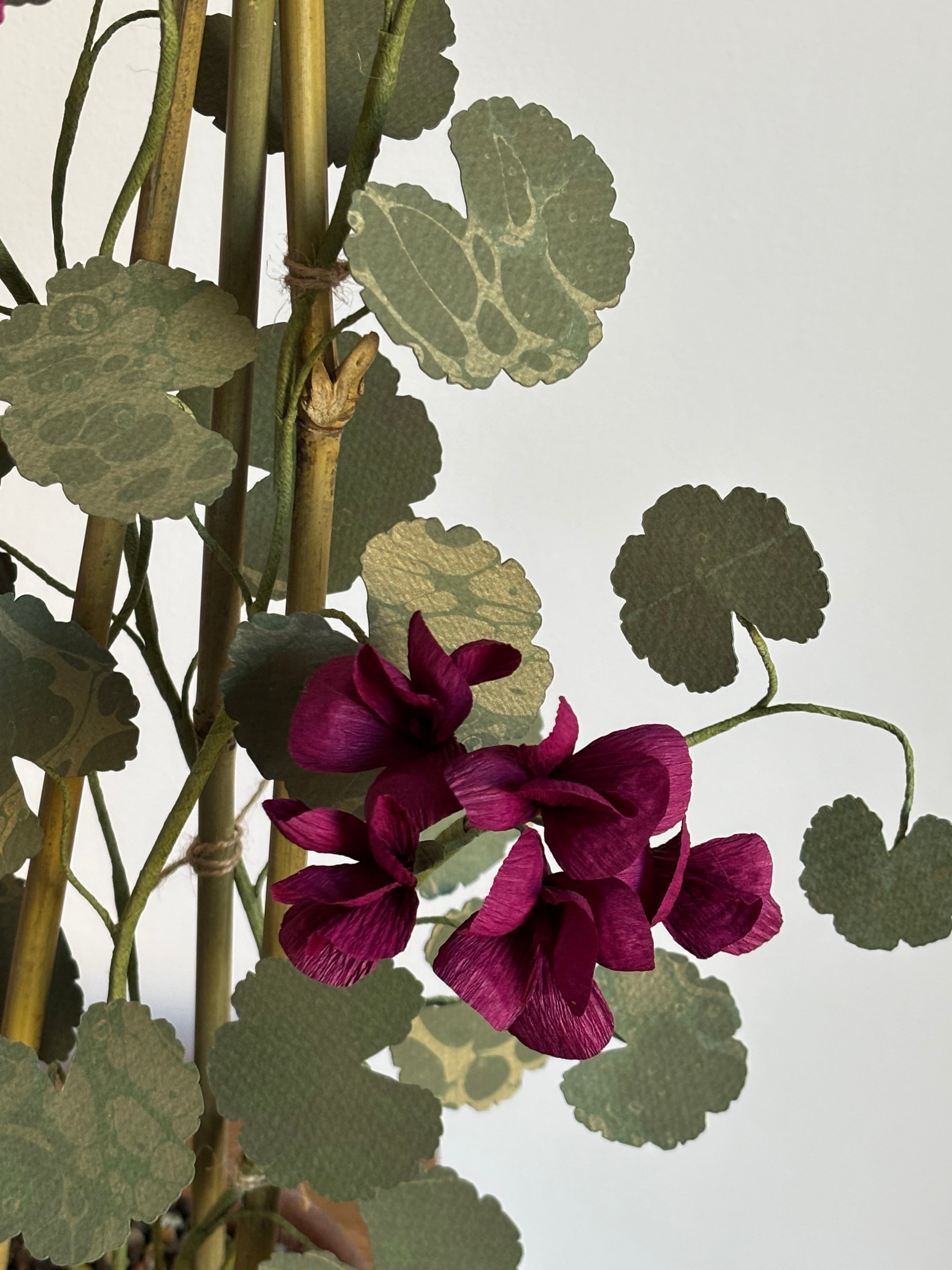Paper Geranium