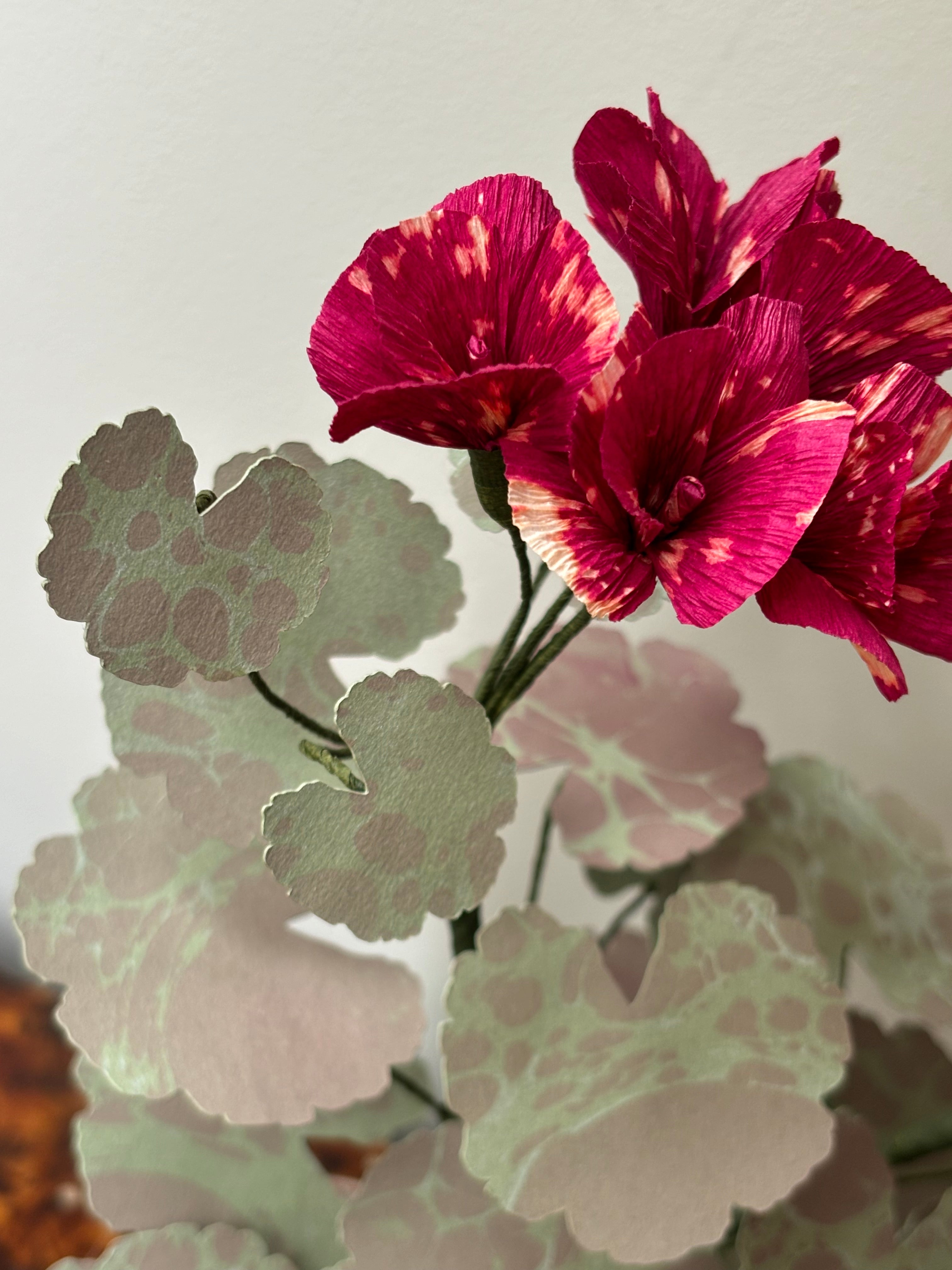 Paper Geranium