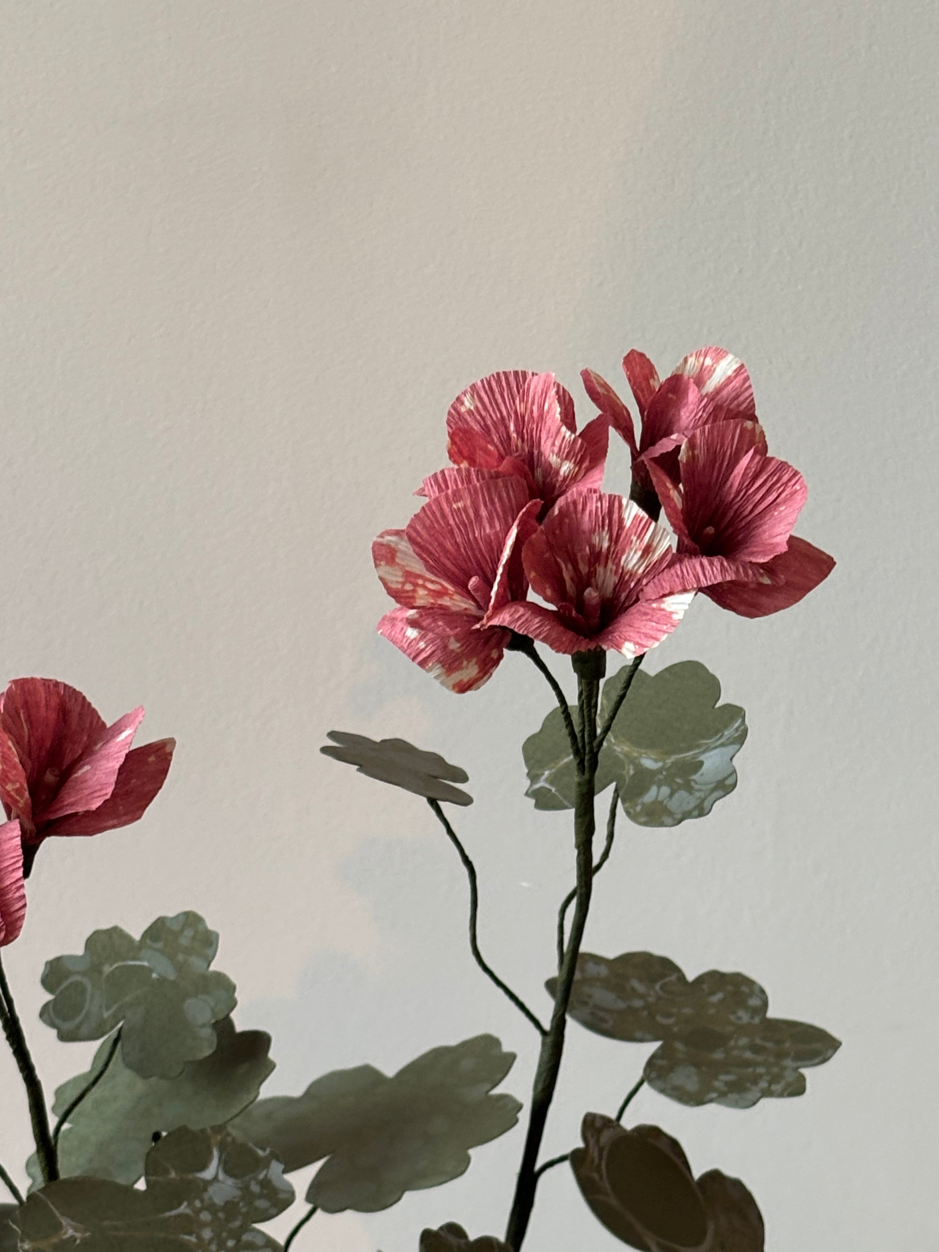 Paper Geranium