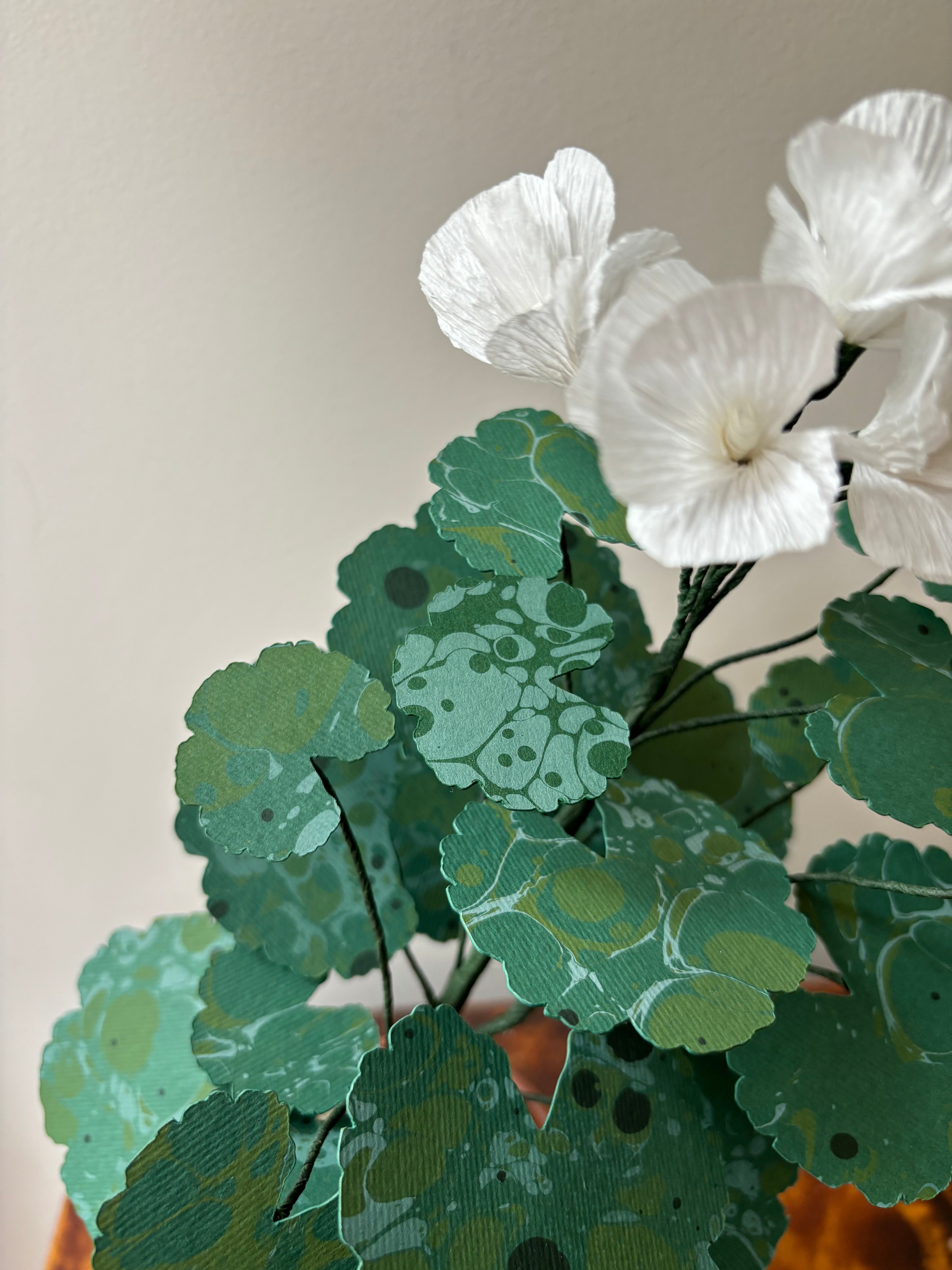 Paper Geranium