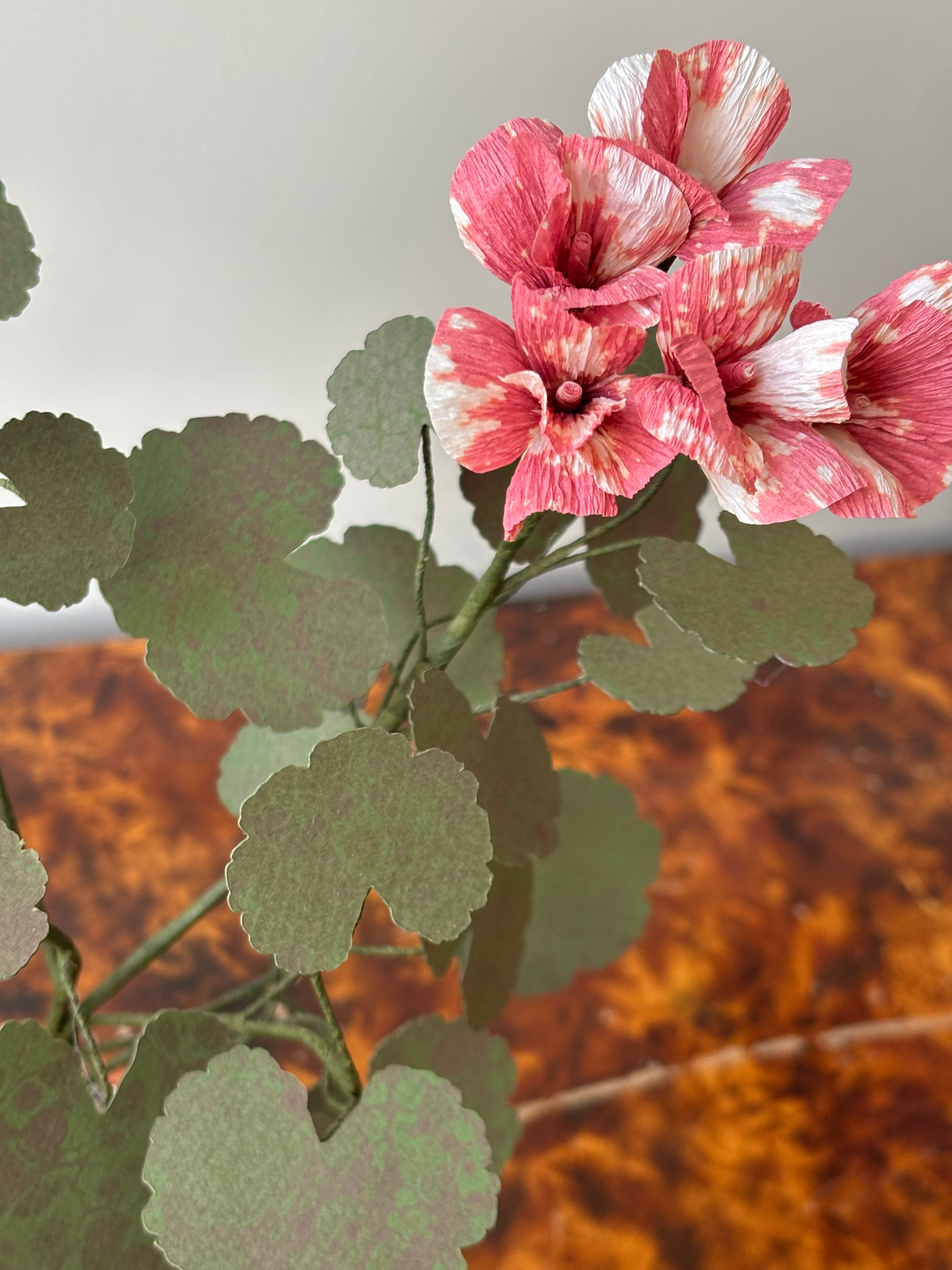 Paper Geranium