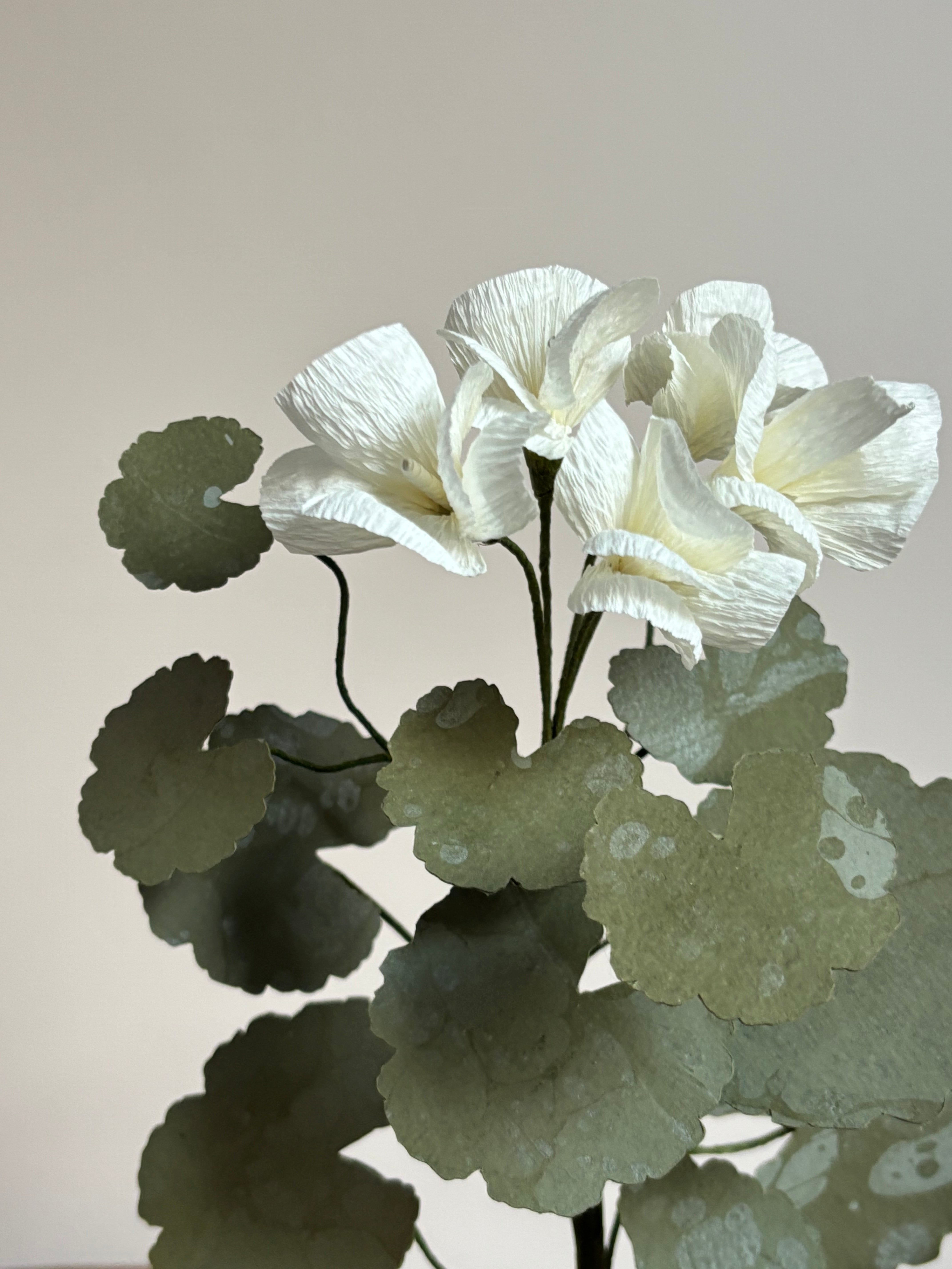 Paper Geranium
