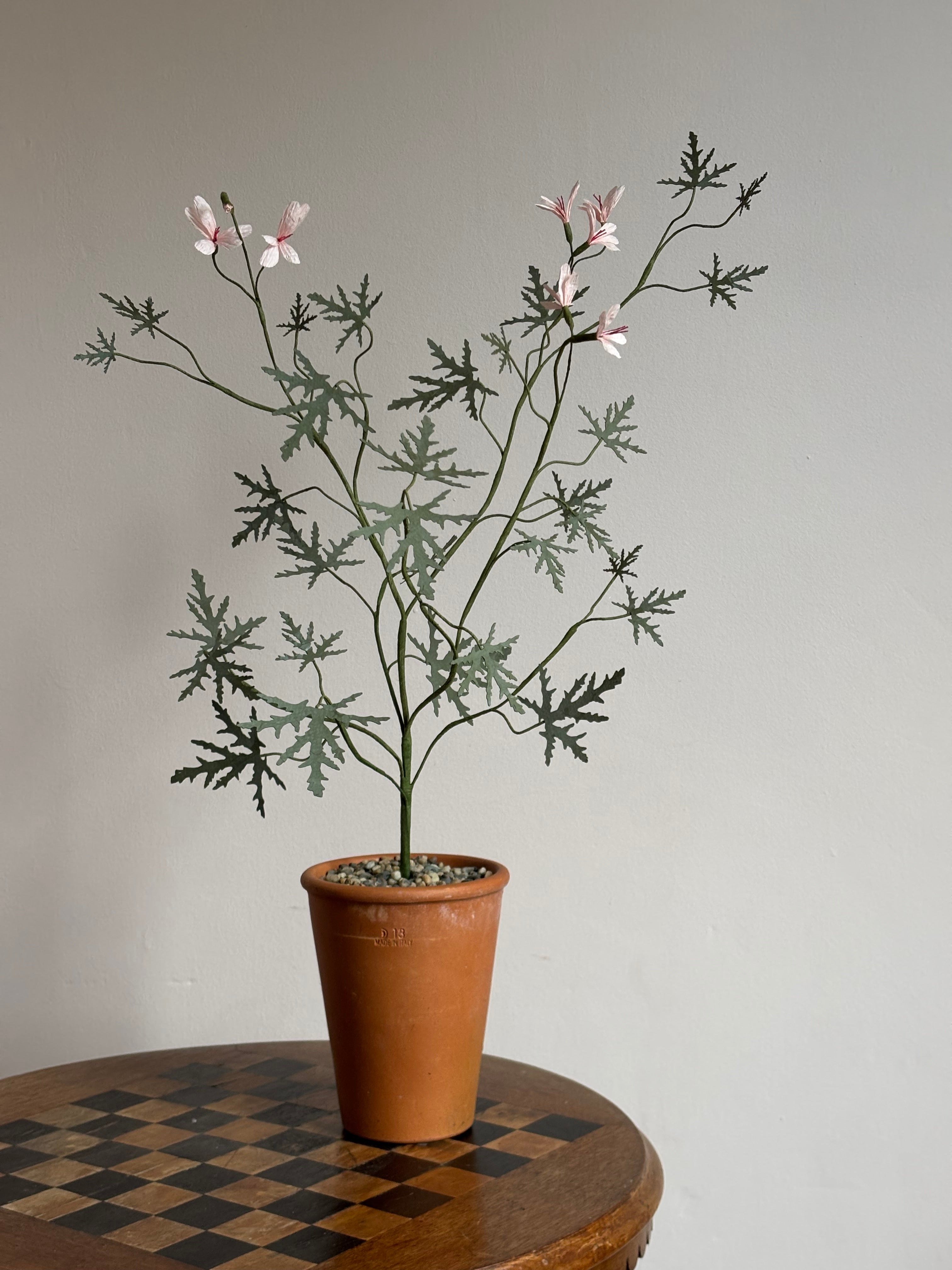 Paper Pelargonium, inspired by Pelargonium graveolens
