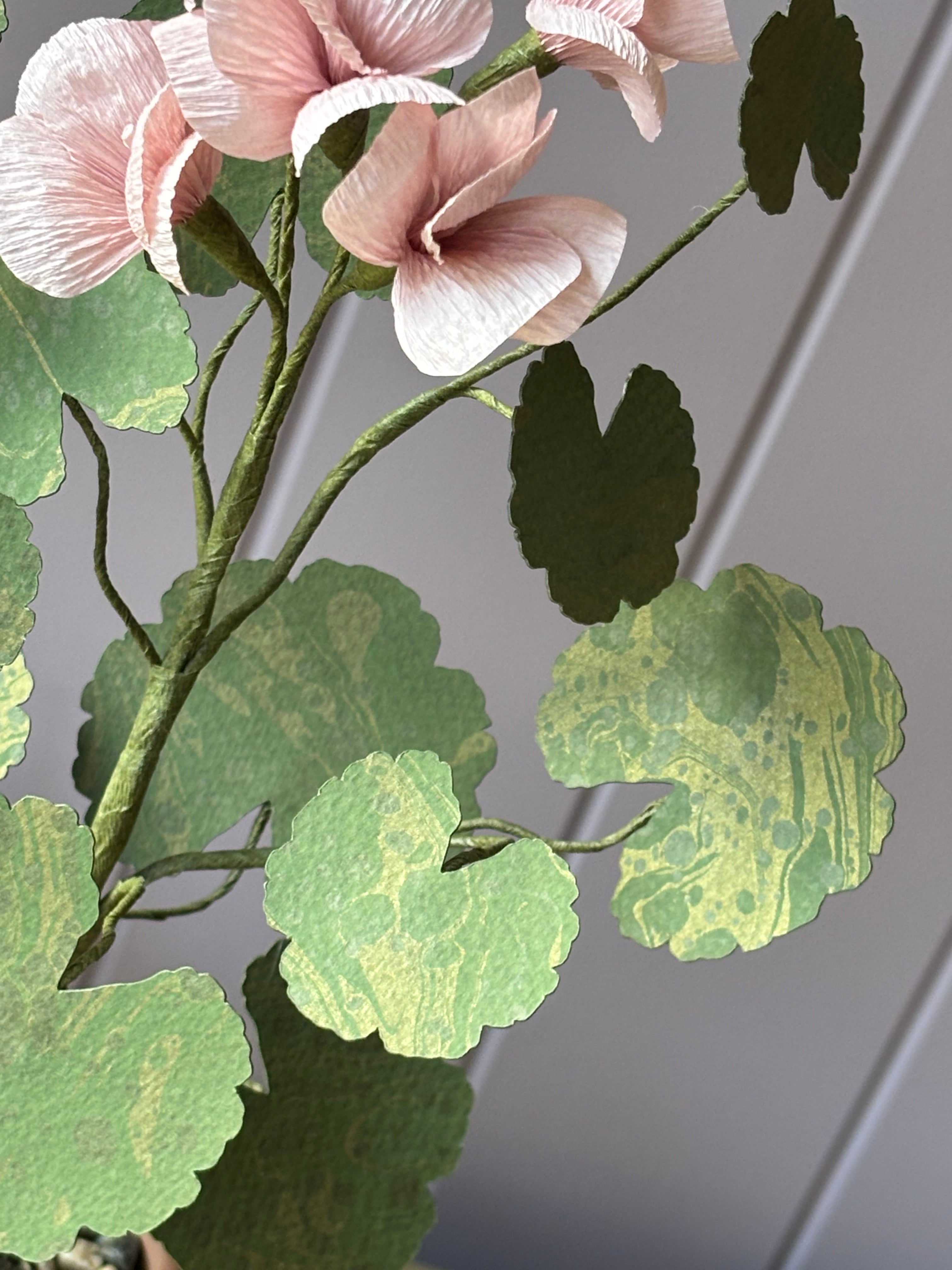 Paper Geranium