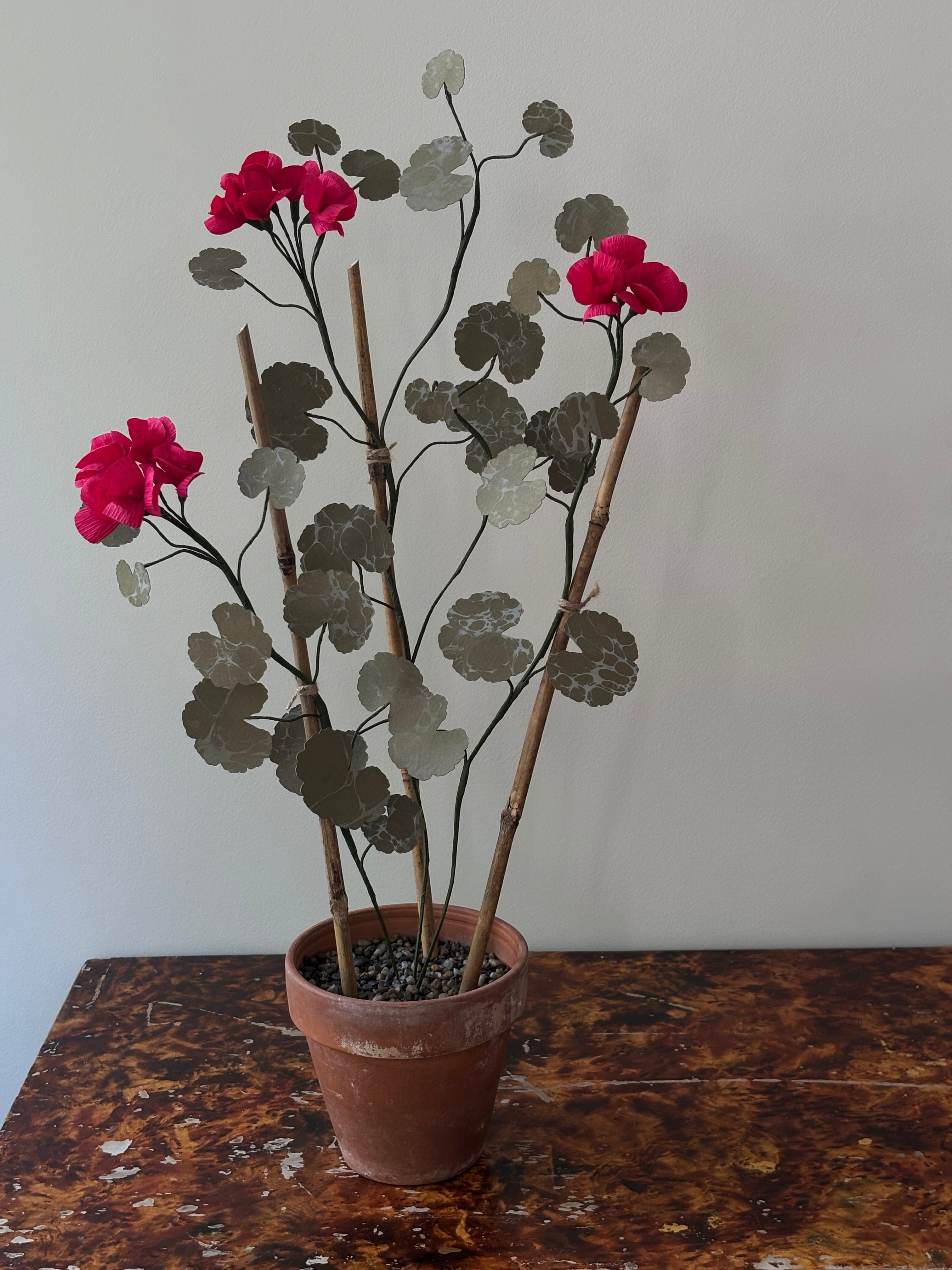 Paper Geranium